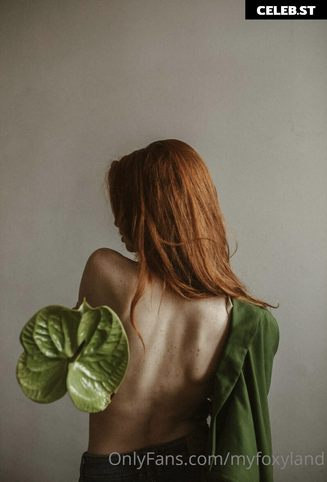 Myfoxyland Image 4145539