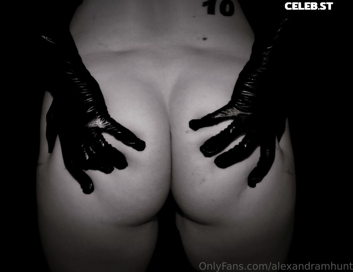 U.S. Congressional Candidate Alexandra M. Hunt - alexandramhunt Image 4142732