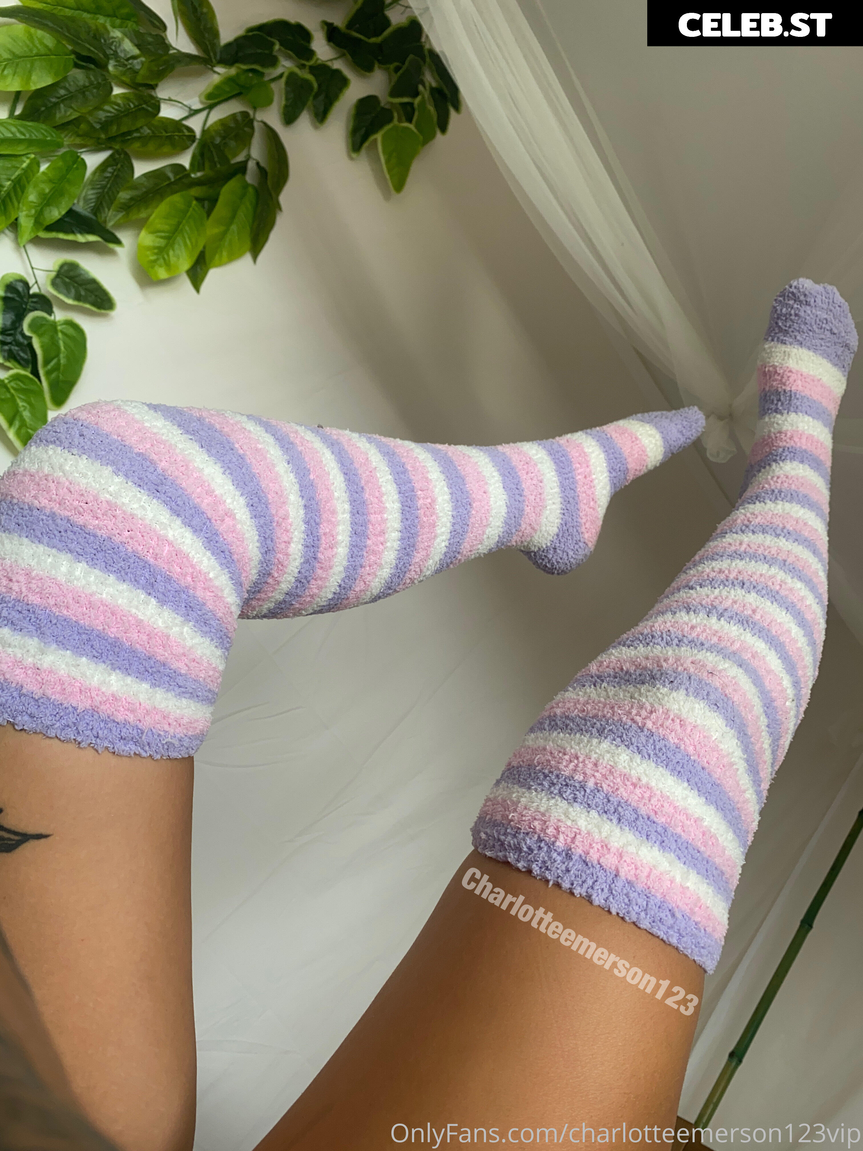 Charlotte Emerson Image 413045