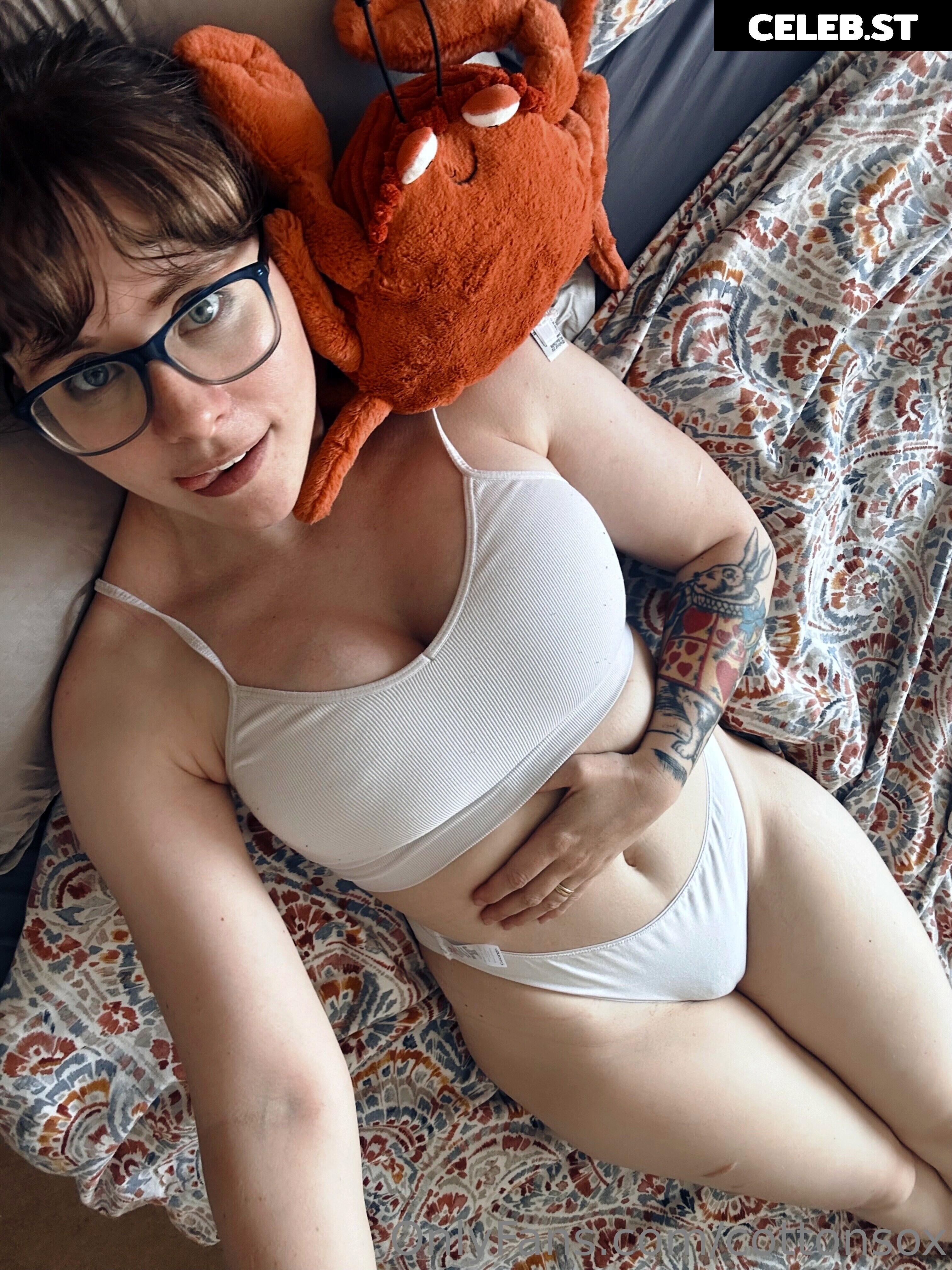 Alice Cotton Sox Image 4127330