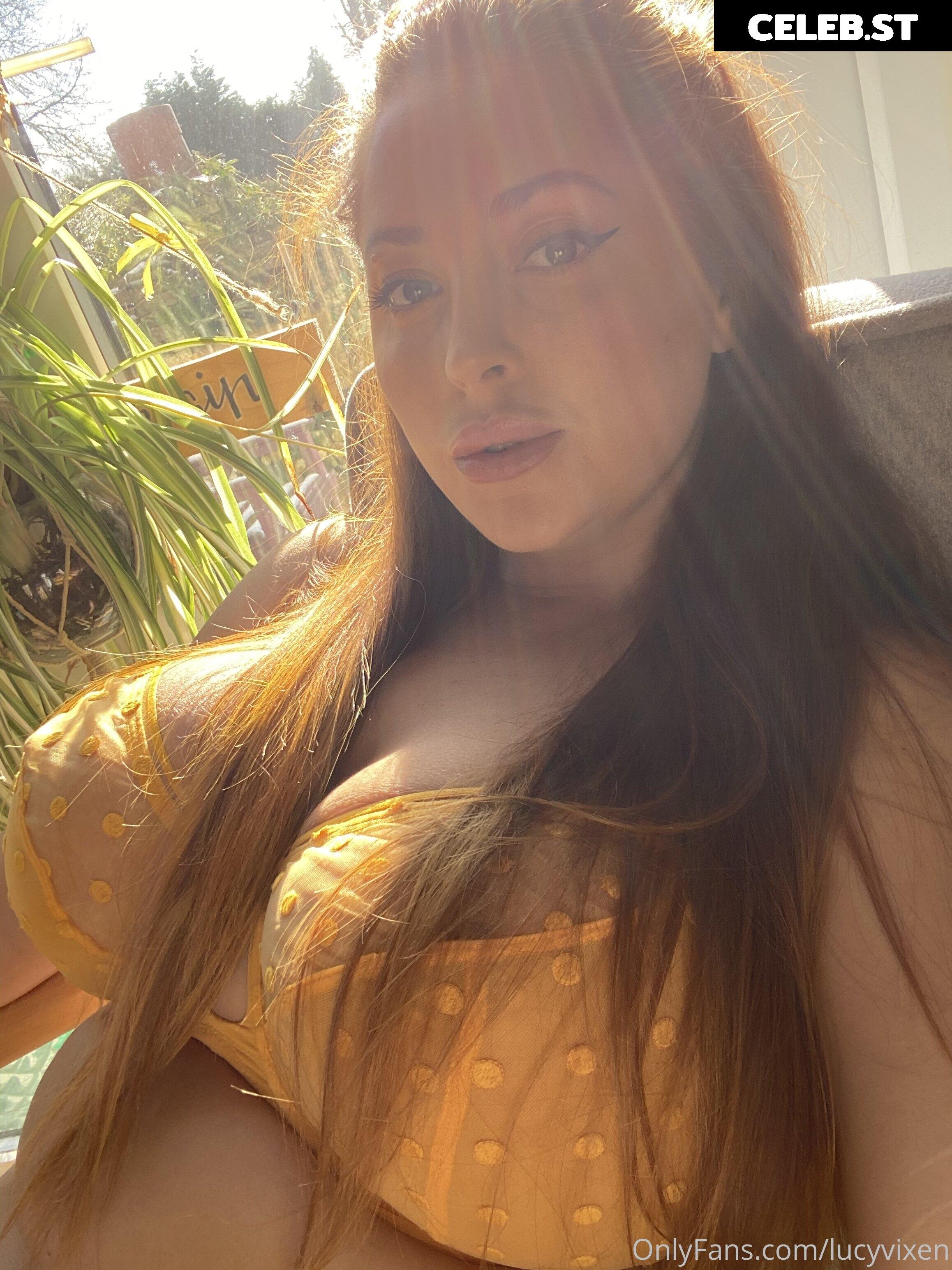 Lucy Vixen / Lucy Collett / Lucyv Image 4122243