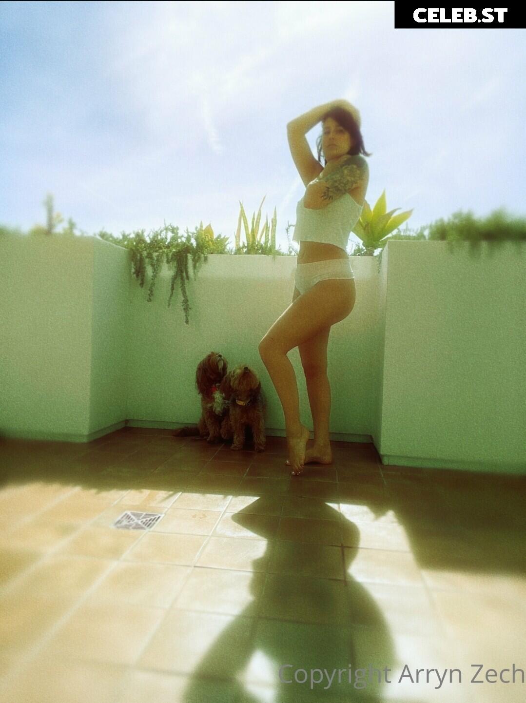 Arryn Zech Image 4119072