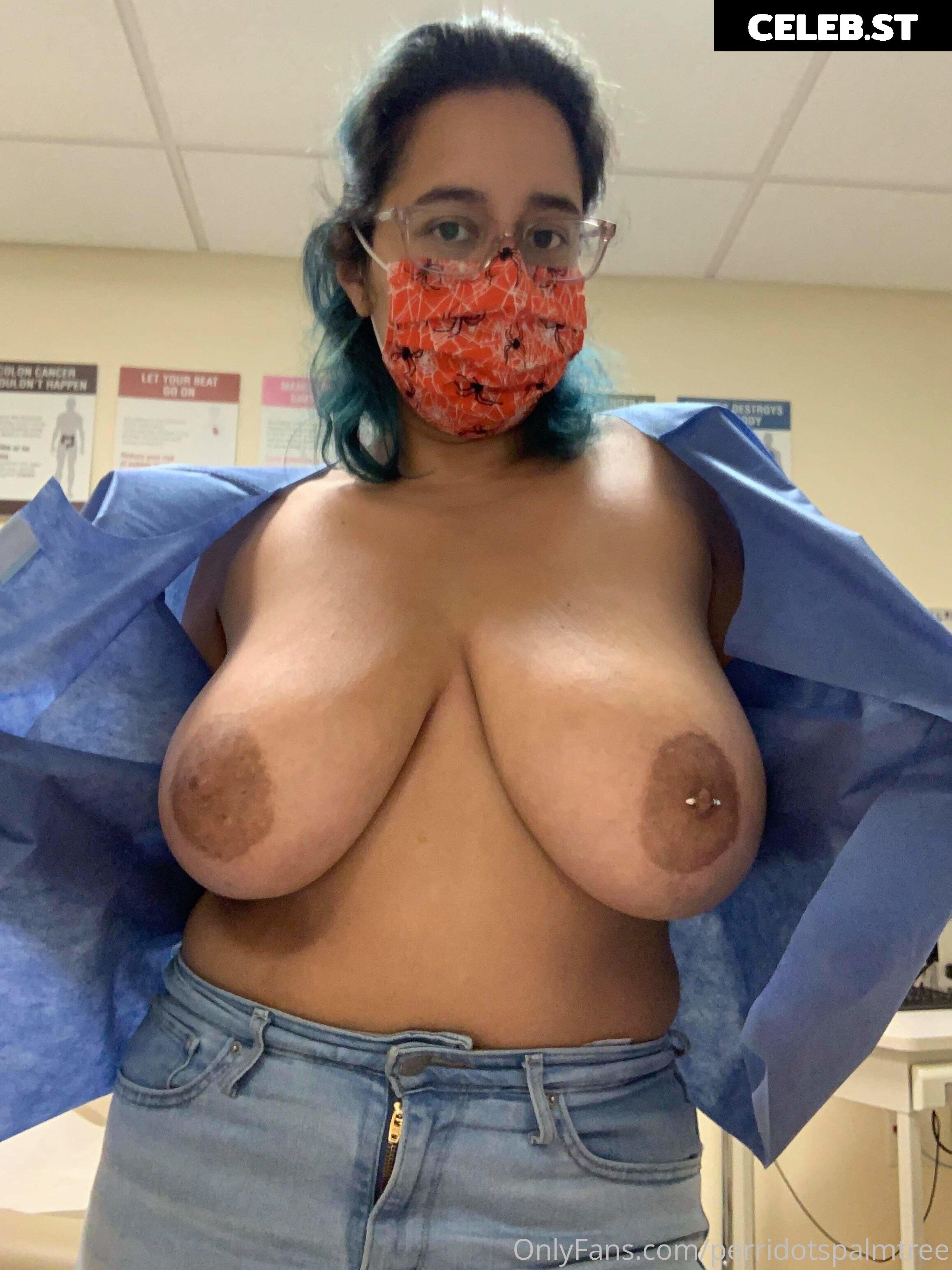 Perridotspalmtree Image 410549