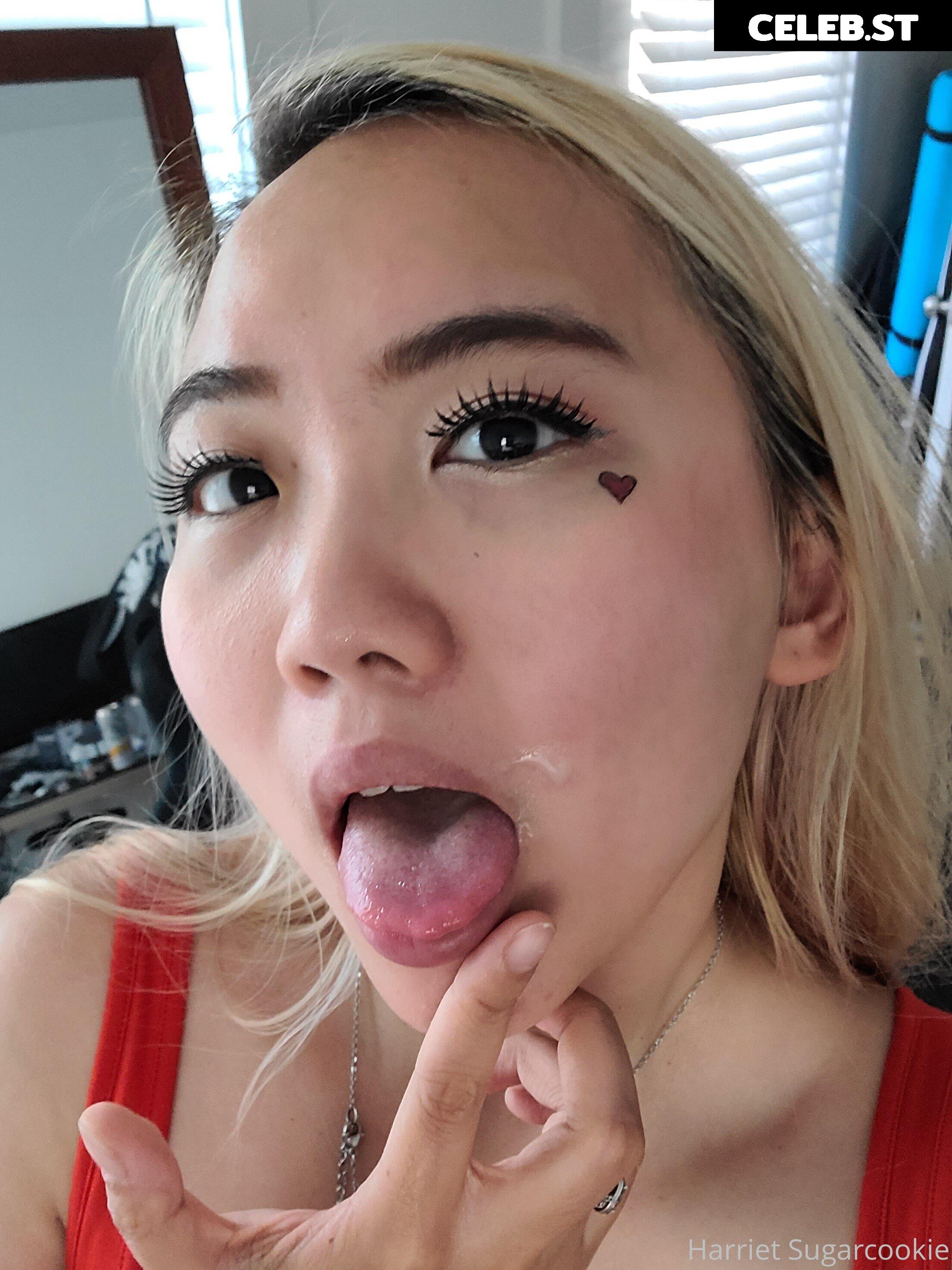 Harriet Sugarcookie Image 4105039