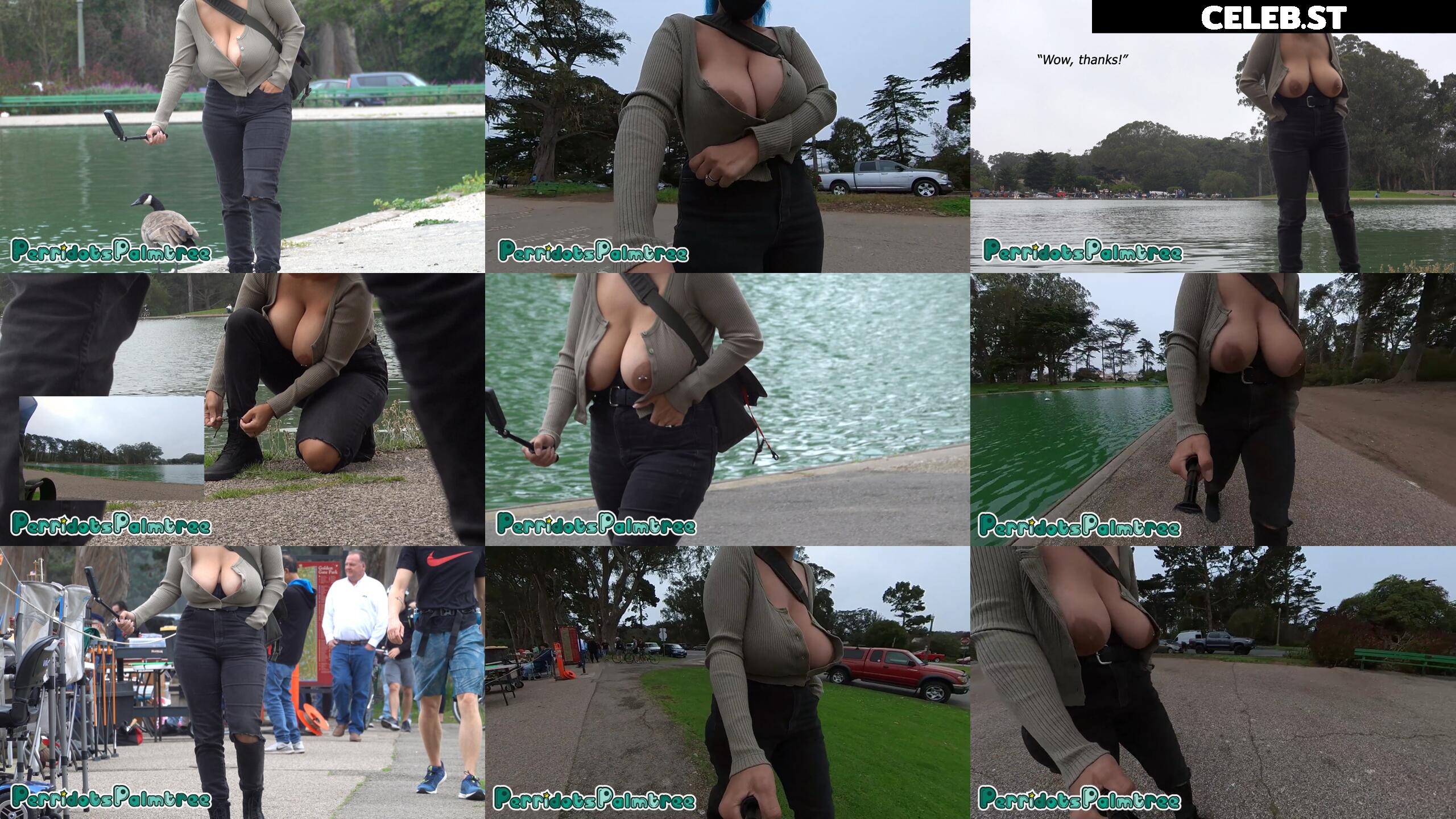 Perridotspalmtree Image 410602