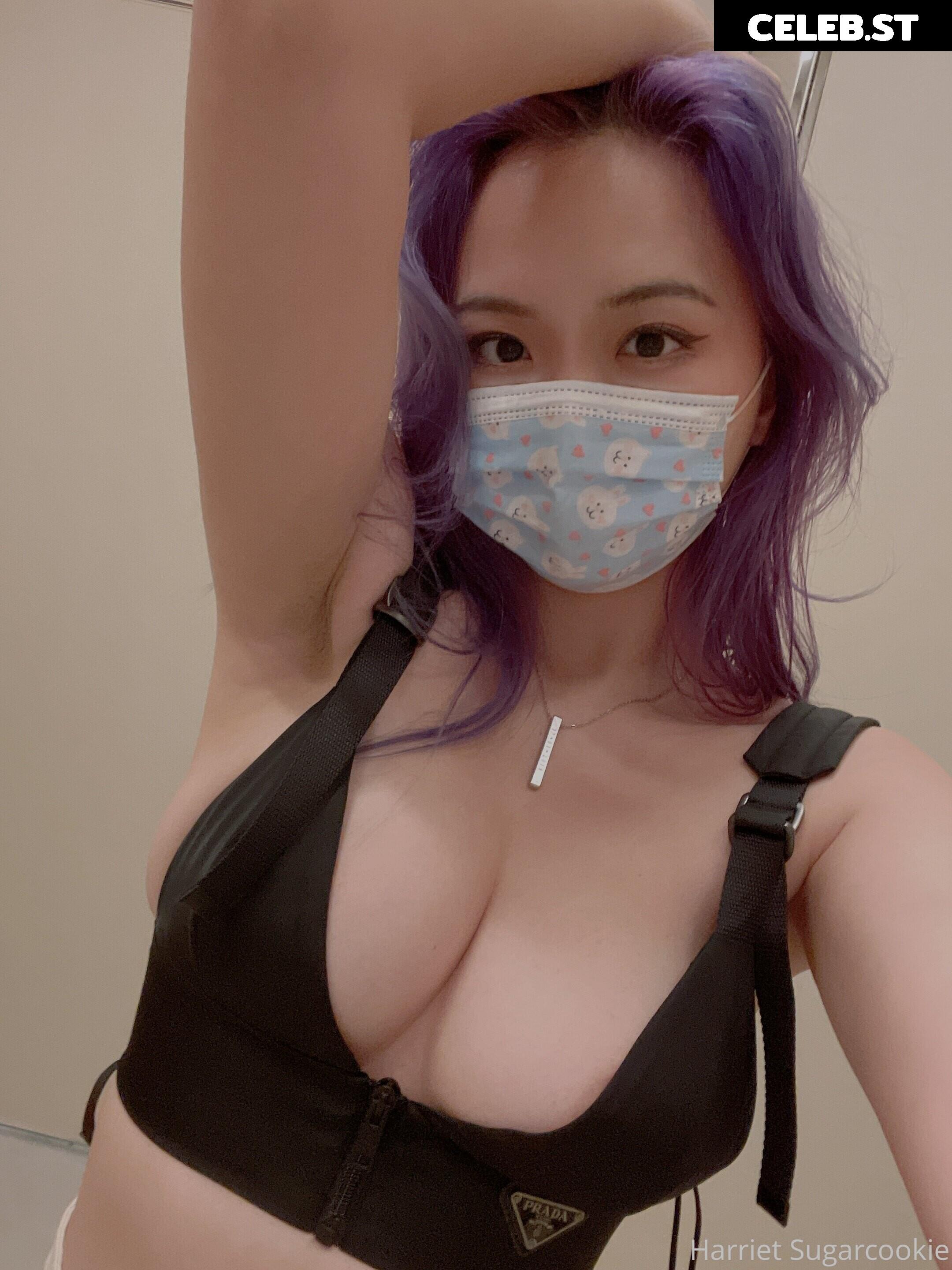Harriet Sugarcookie Image 4101731