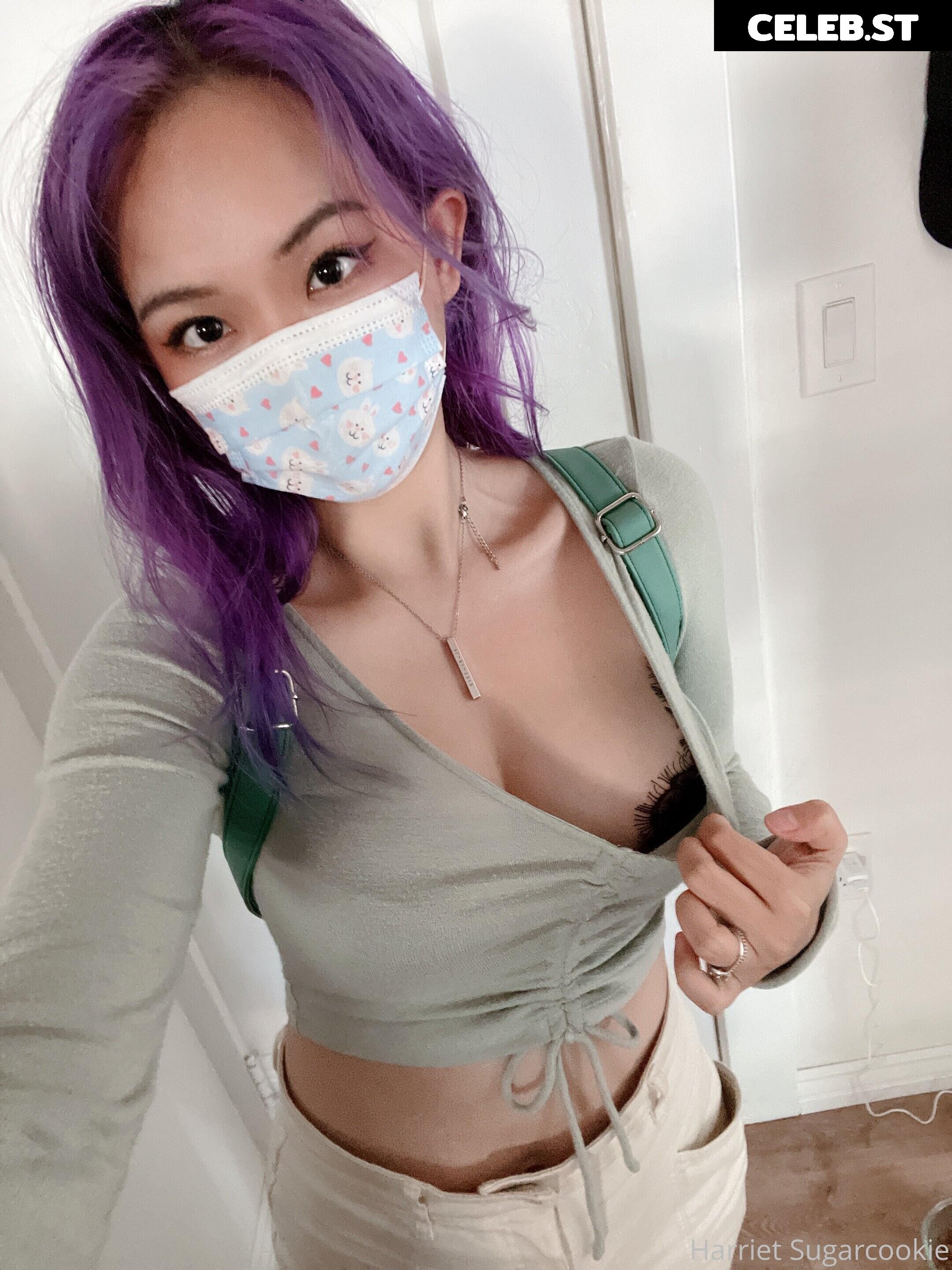 Harriet Sugarcookie Image 4101677
