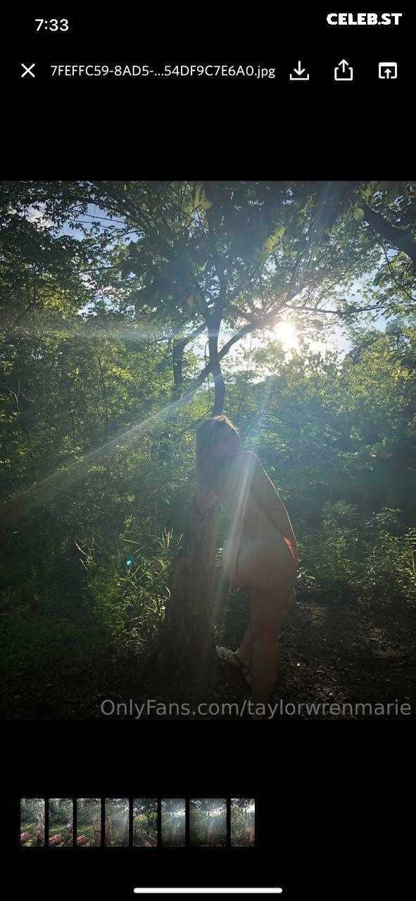 taylorwrenmarie Image 4101373