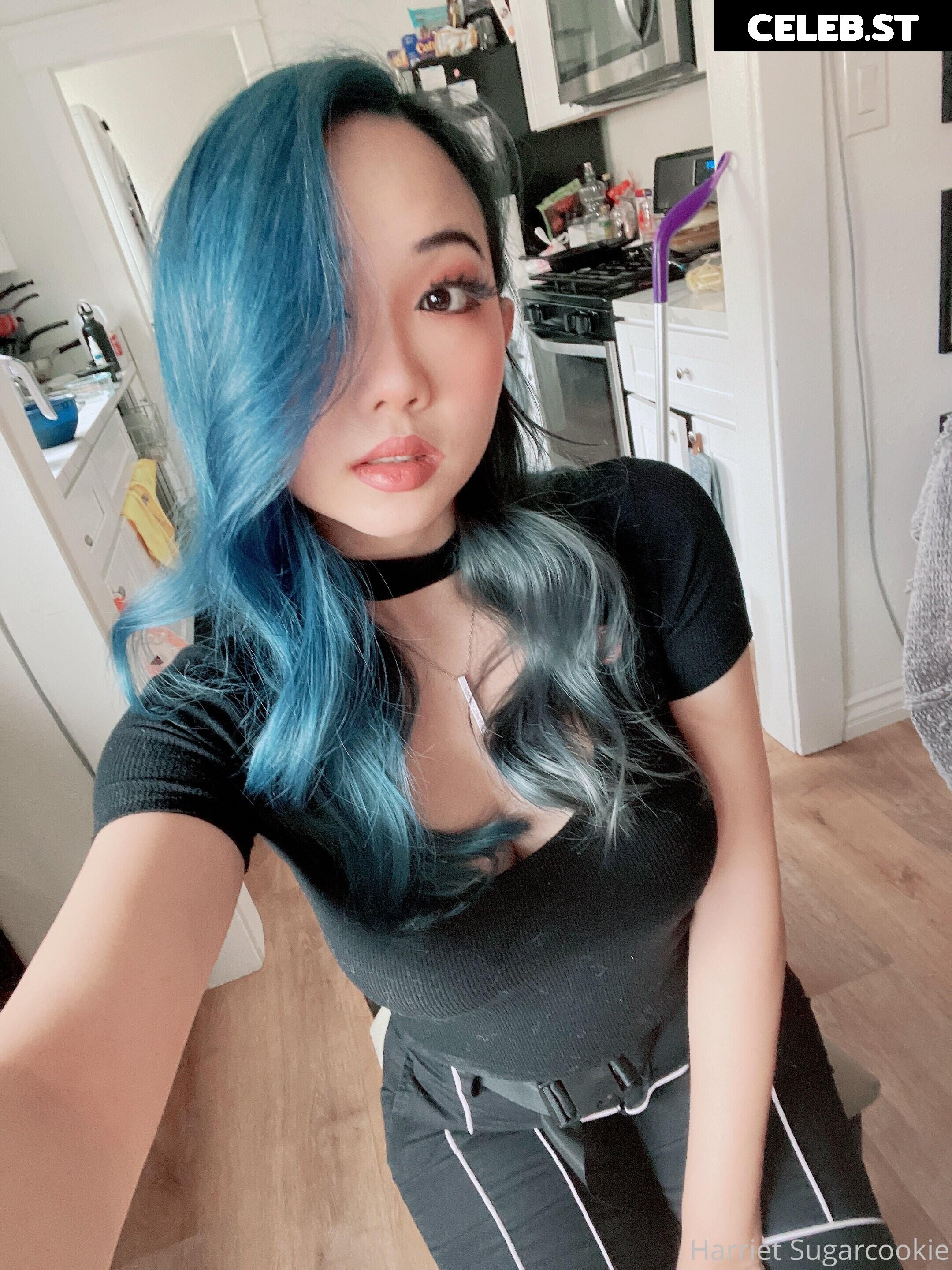 Harriet Sugarcookie Image 4101250