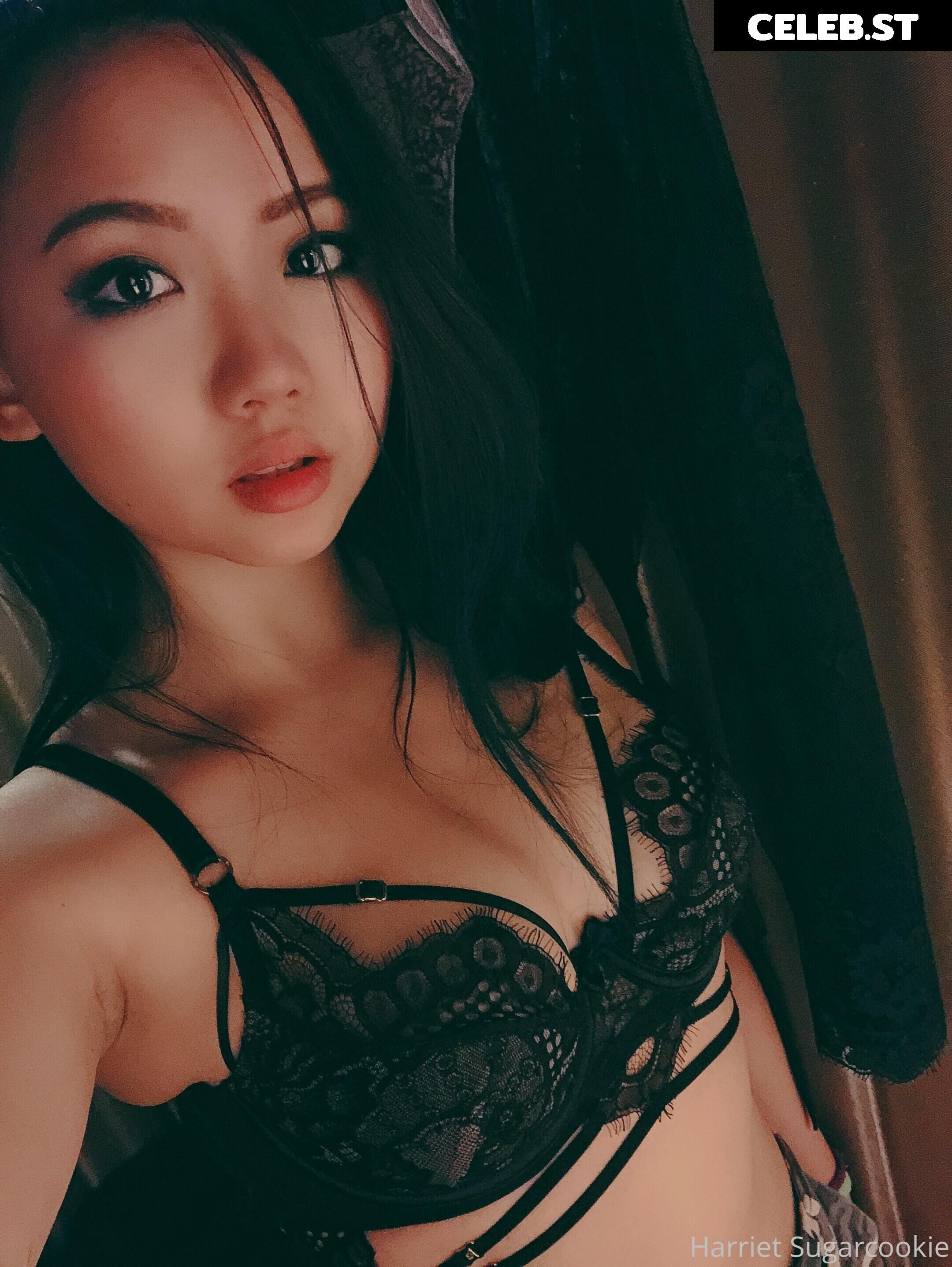 Harriet Sugarcookie Image 4102807