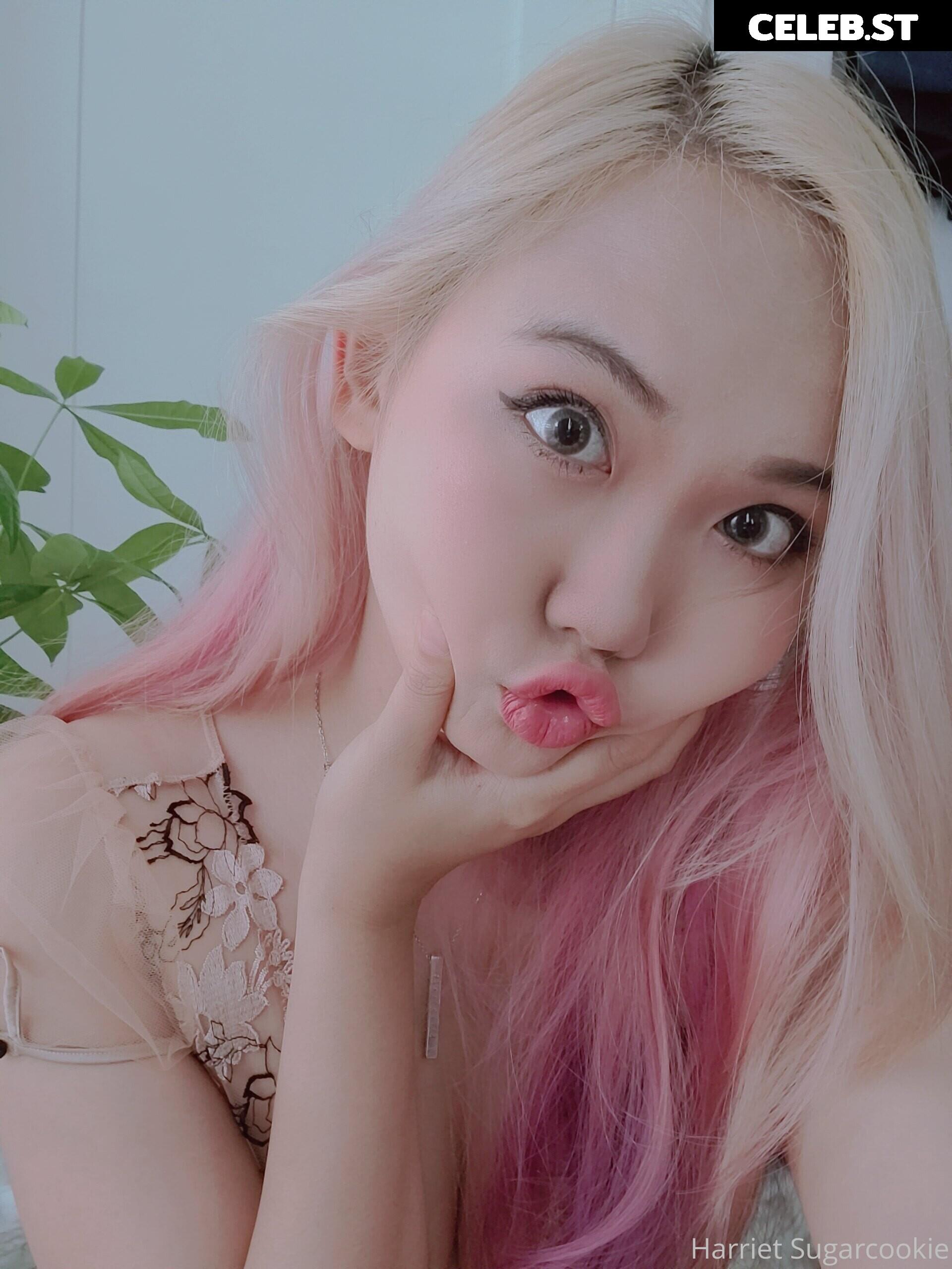 Harriet Sugarcookie Image 4102157