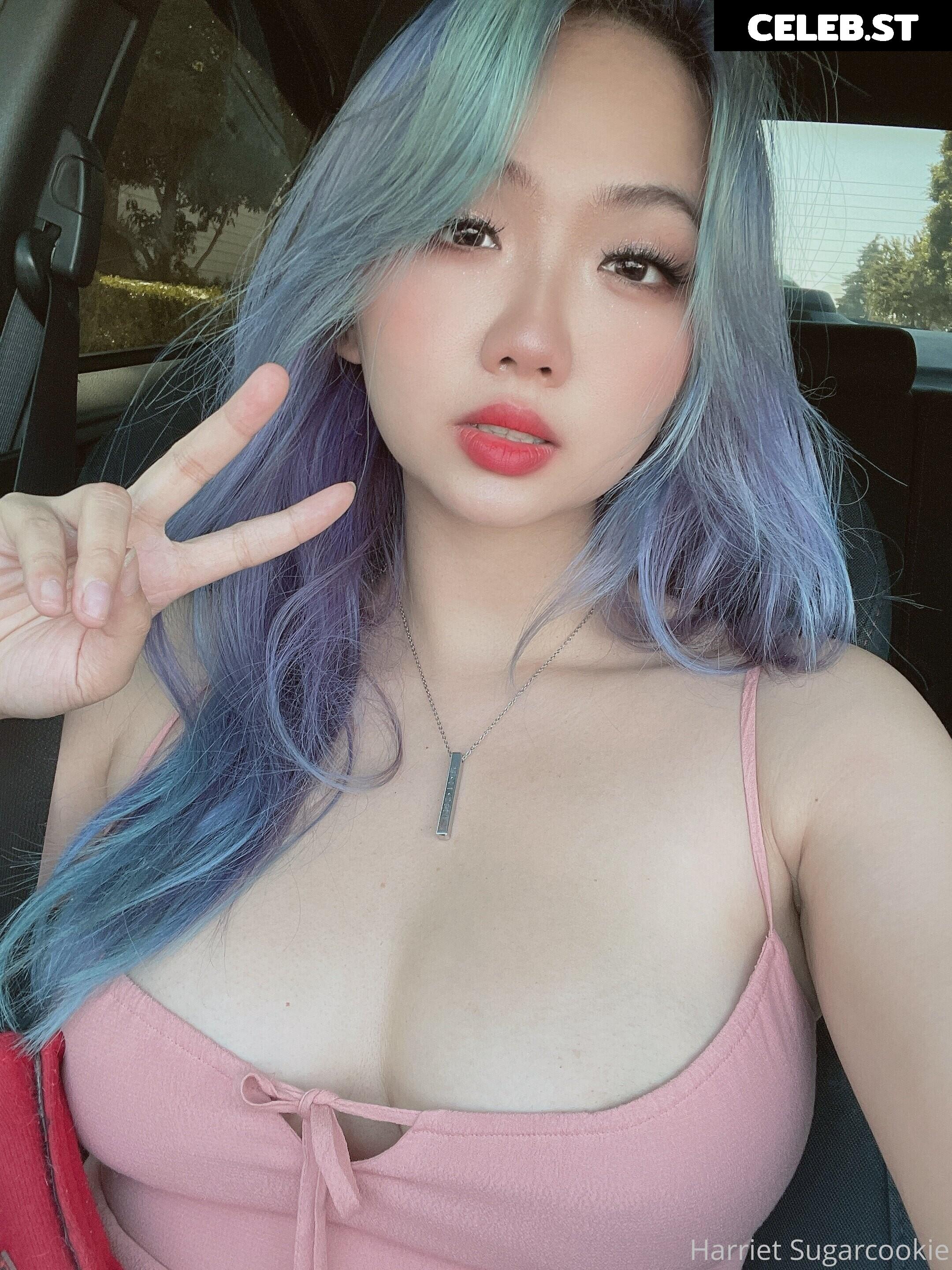 Harriet Sugarcookie Image 4100590