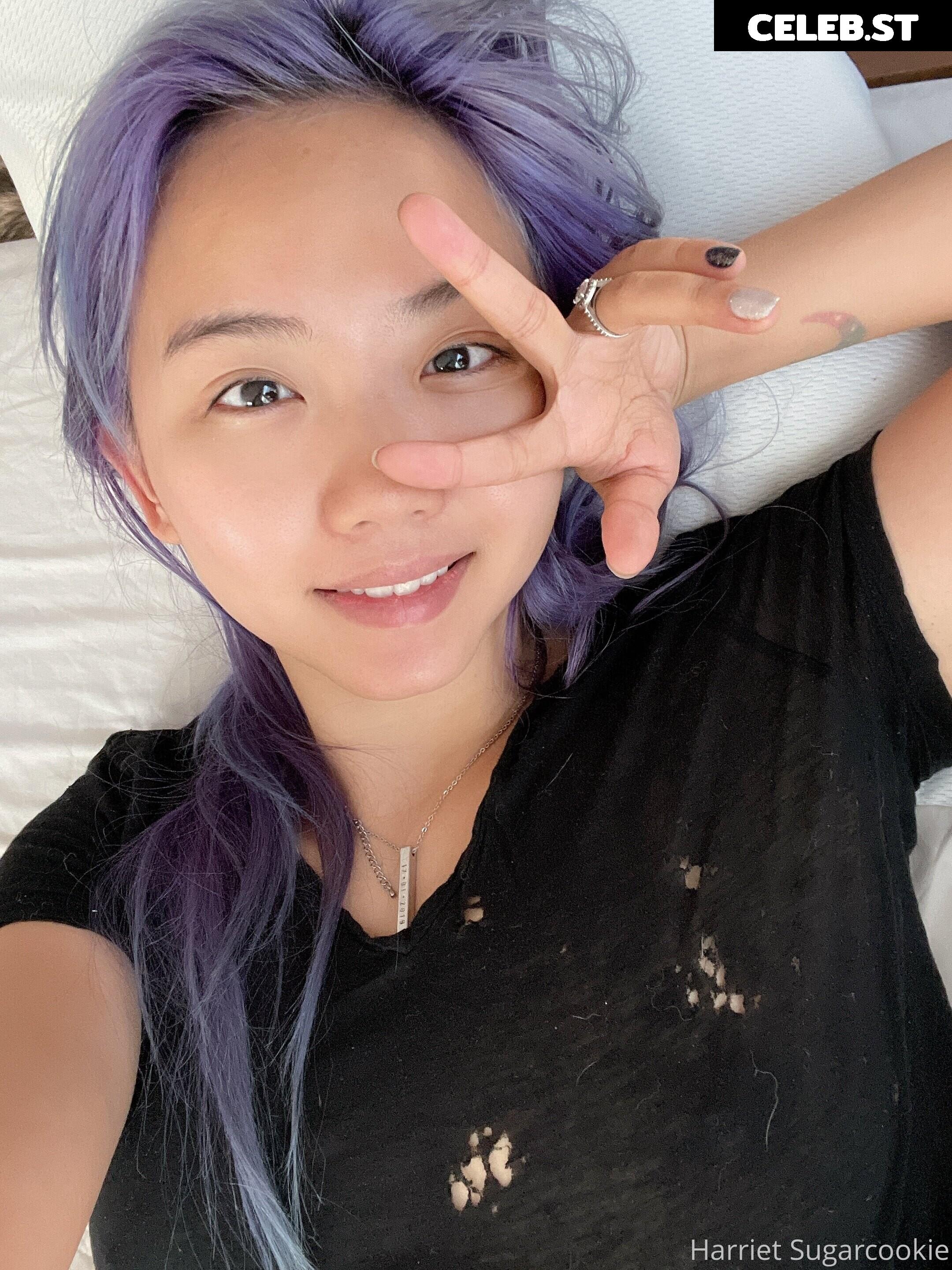 Harriet Sugarcookie Image 4100986
