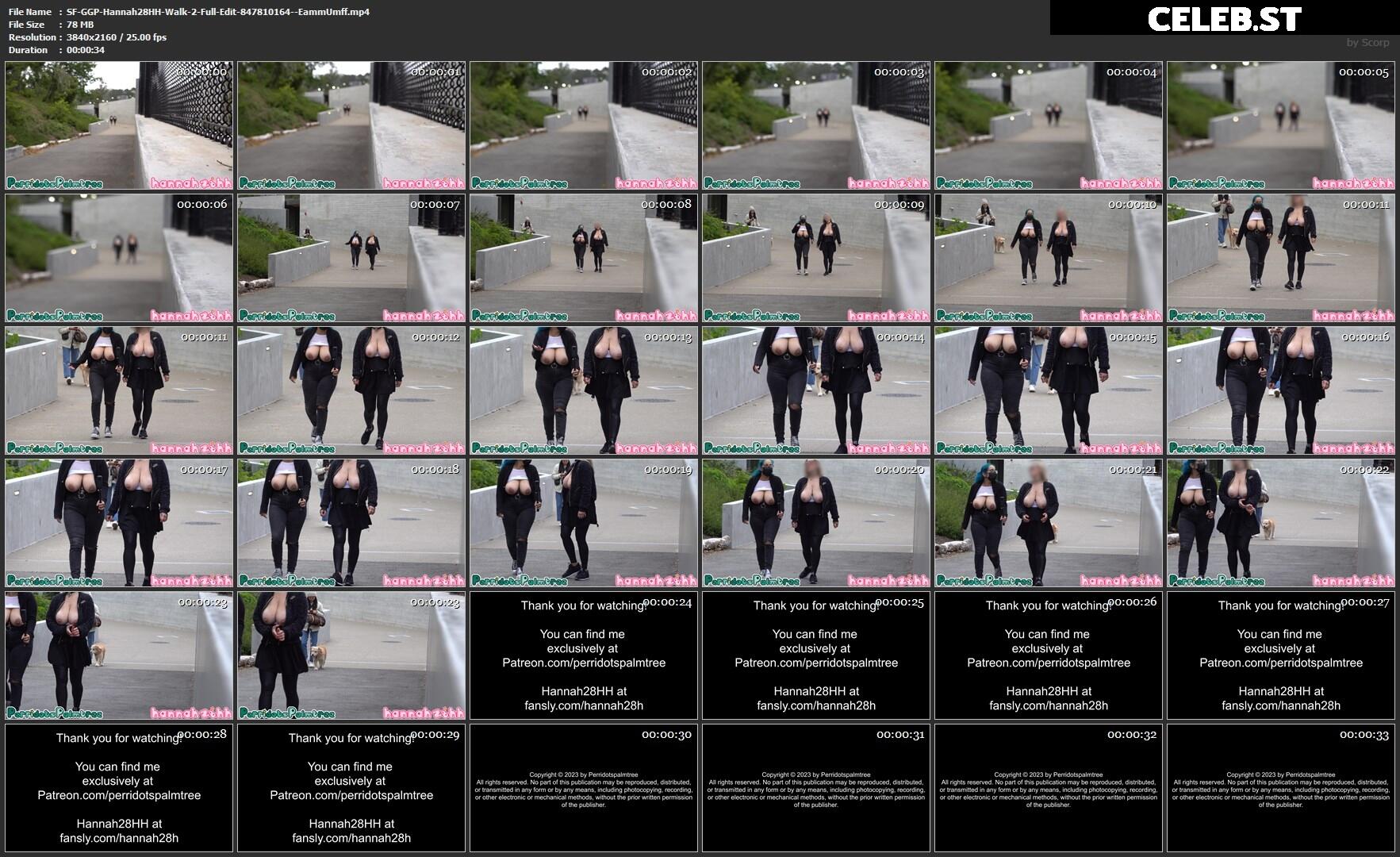 Perridotspalmtree Image 410838