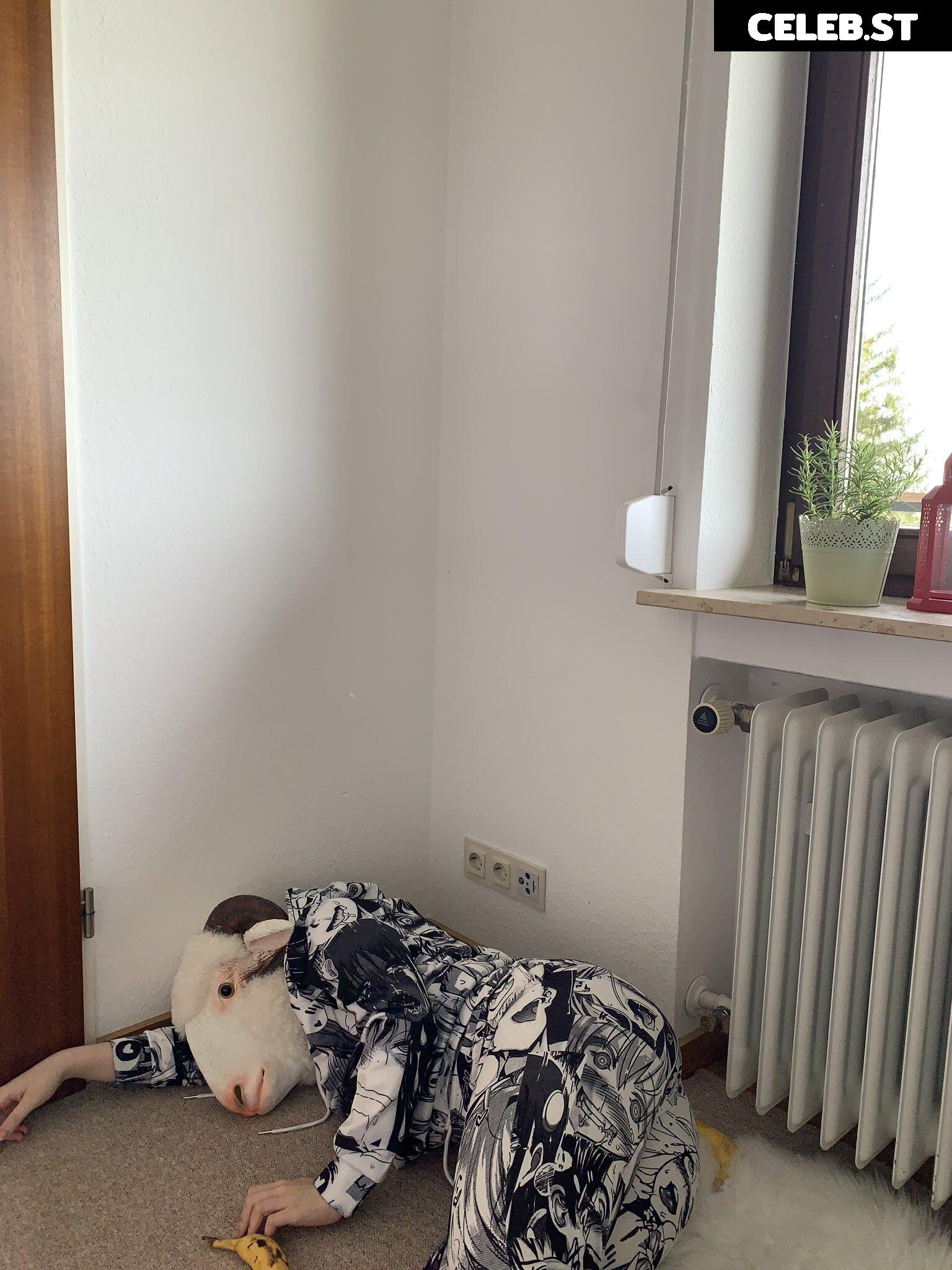 inislein Image 4299995