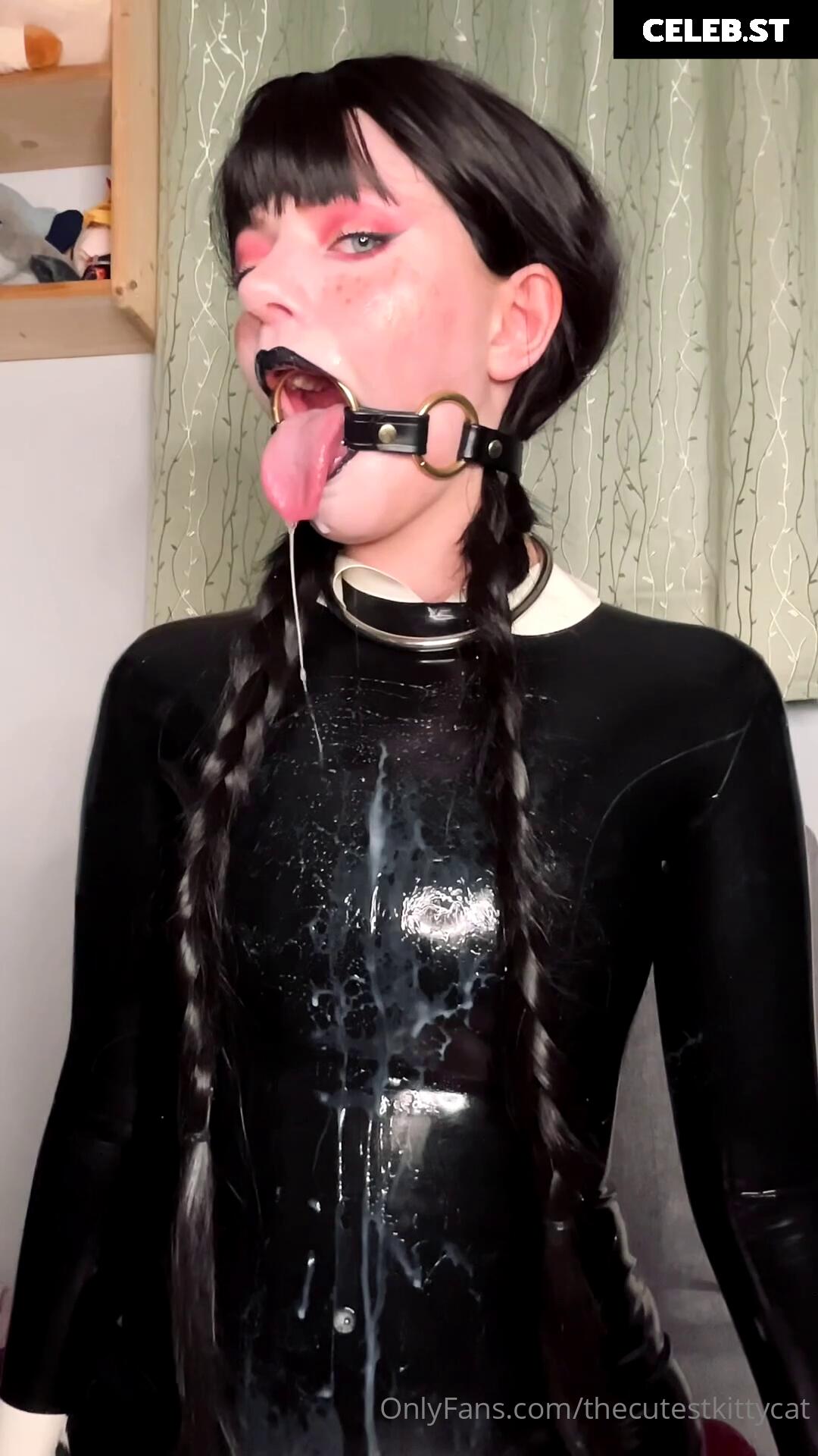 Misty Silver | thecutestkittycat | u/SnowCrazyFrenzy Image 4286944