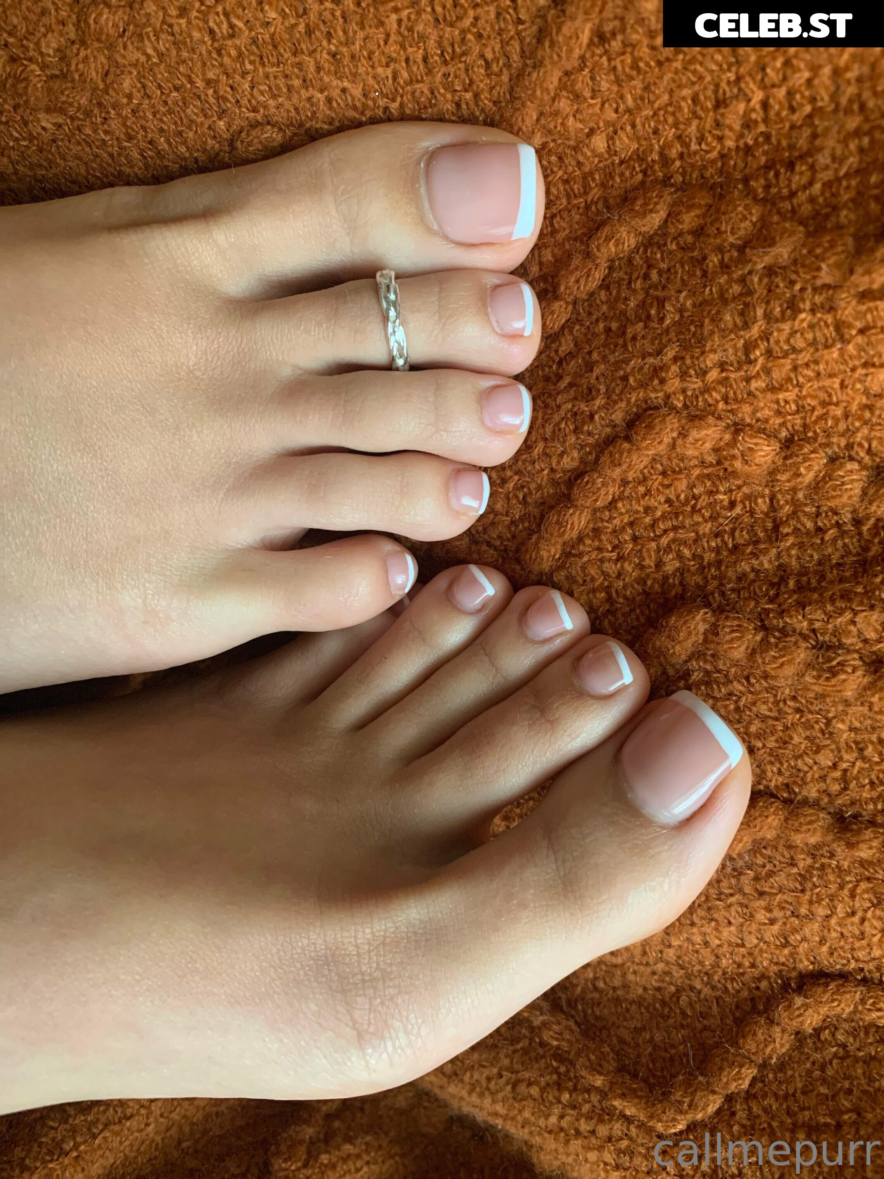 Purrrtrova Image 4284561