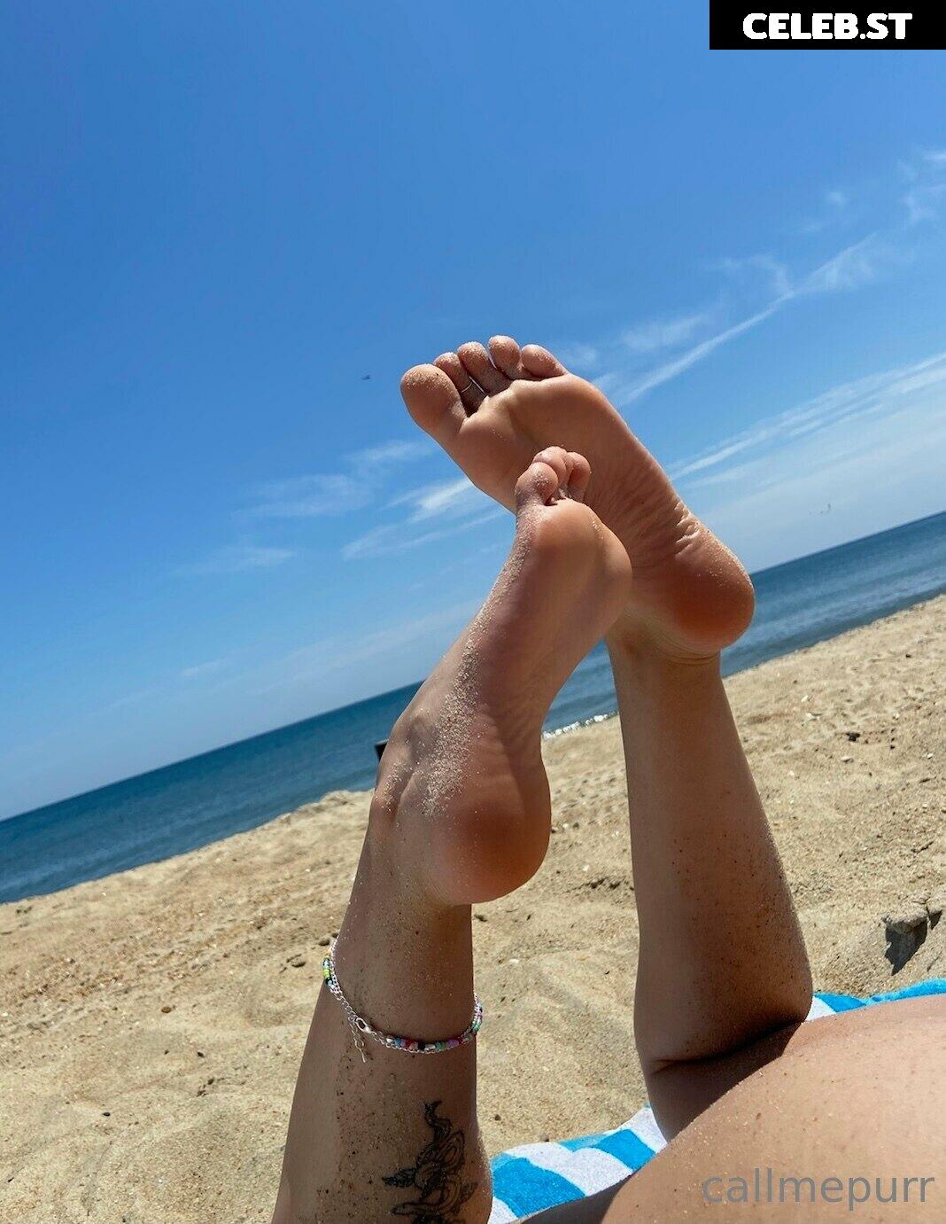 Purrrtrova Image 4284329