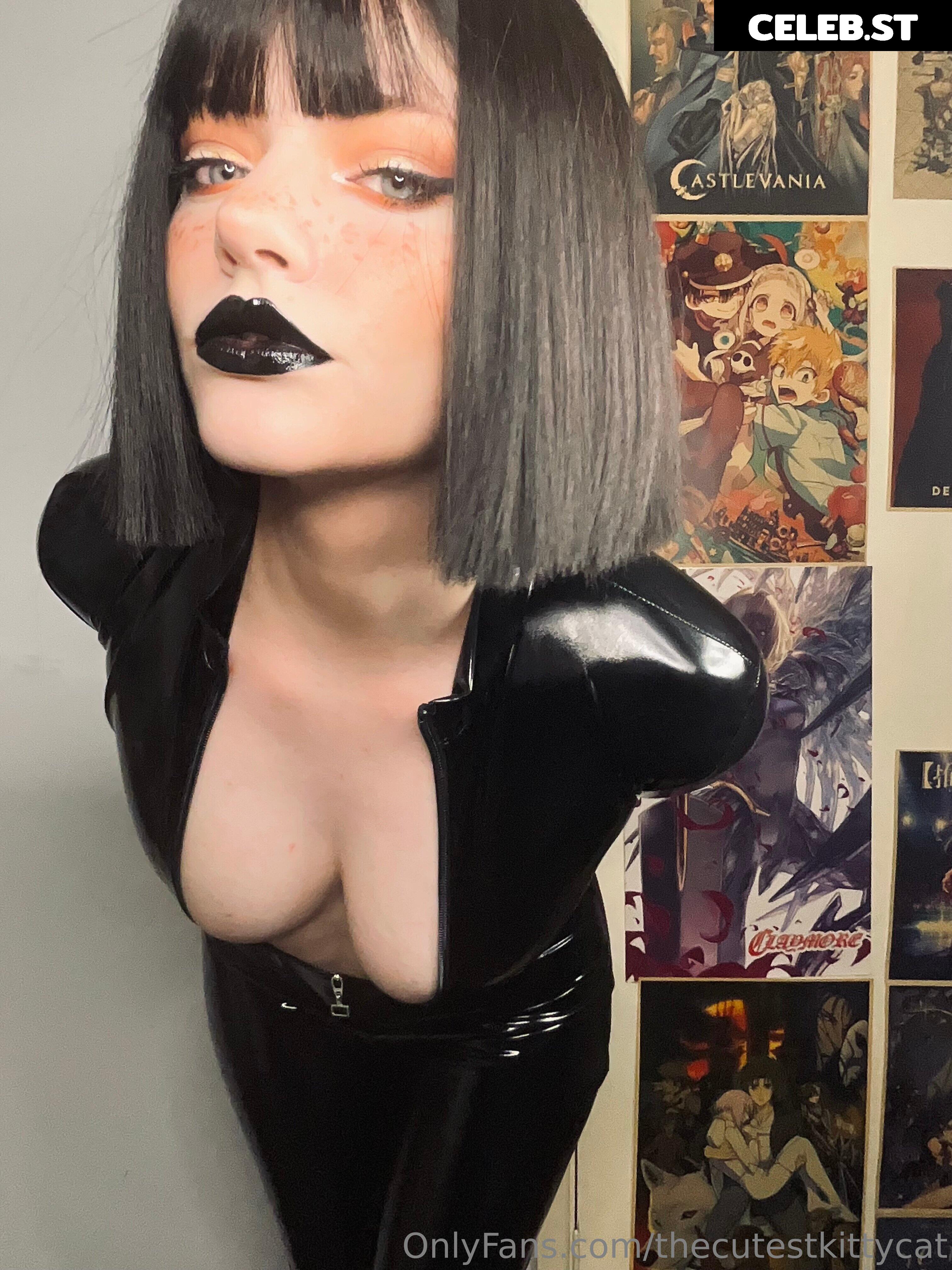 Misty Silver | thecutestkittycat | u/SnowCrazyFrenzy Image 4282908