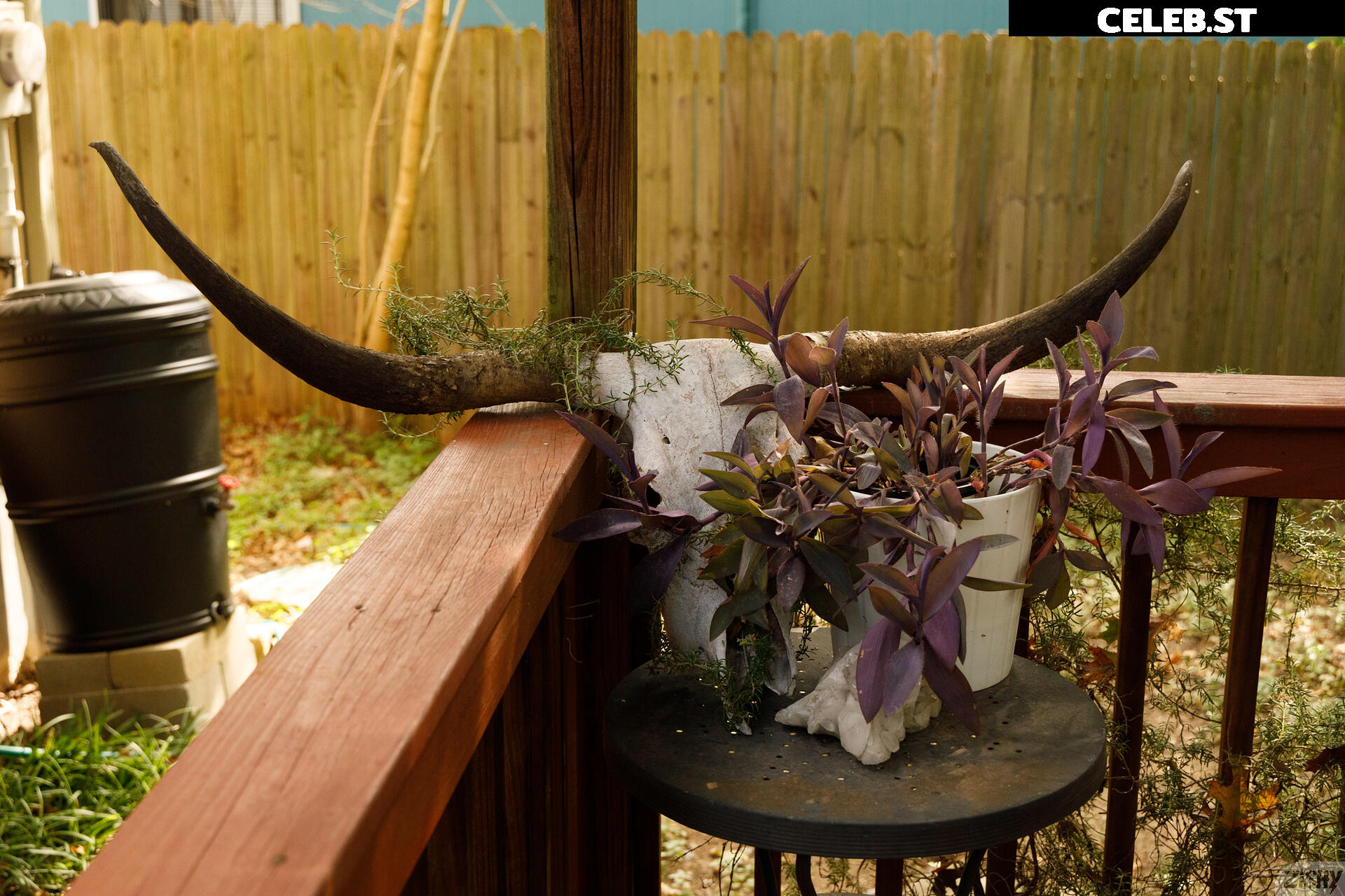 Myra Glasford  / Myragla / Myraglaa / Myra Moans Image 4288281