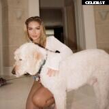 Heloise Hut Image 4272074