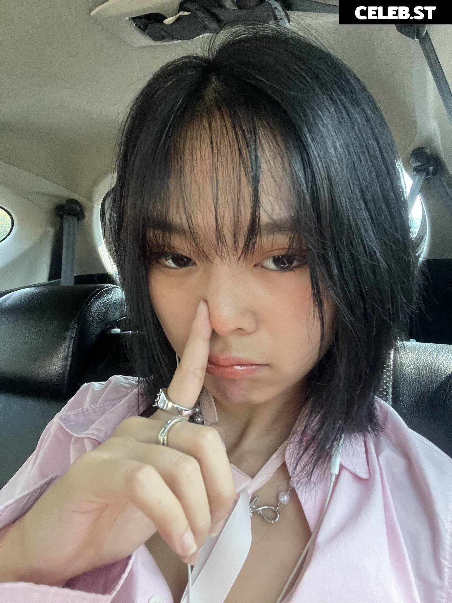 miceraa Image 4262909