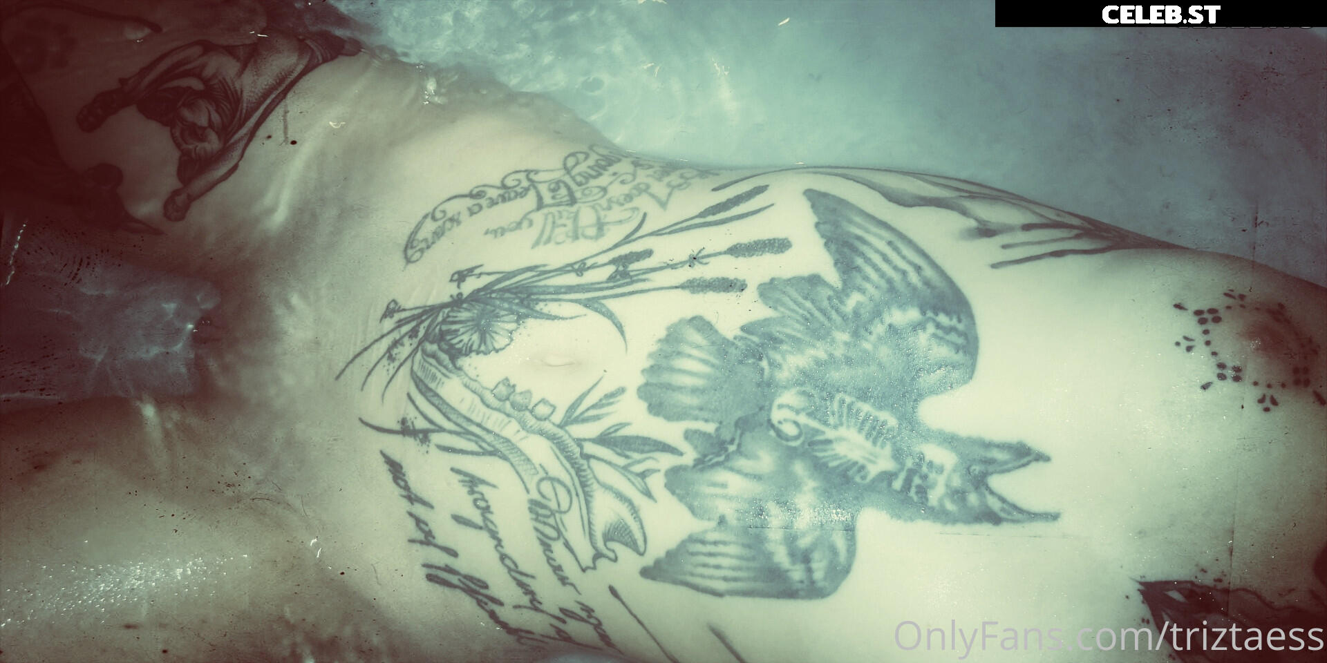 Triz Täss Image 426088