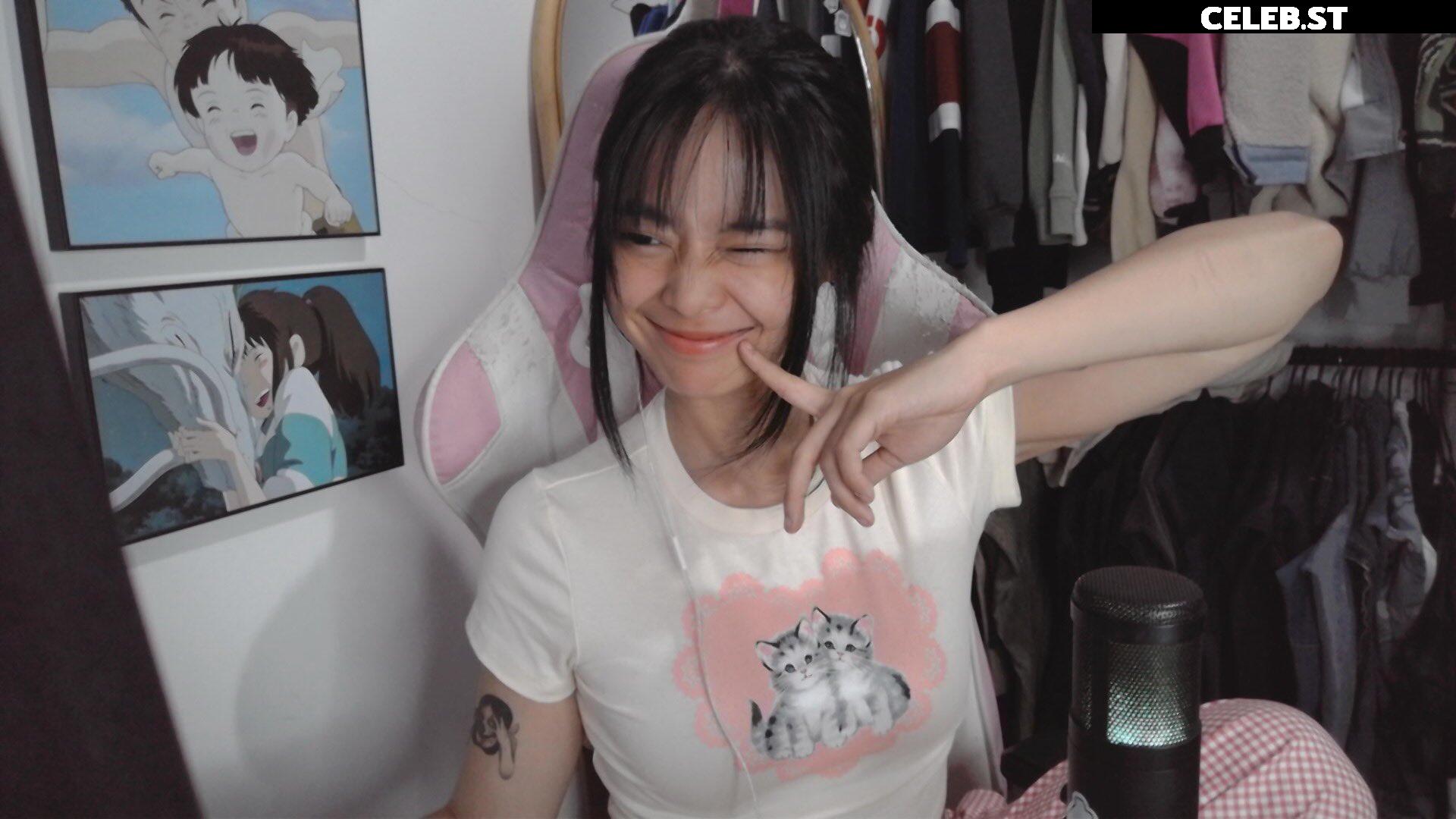 miceraa Image 4260221