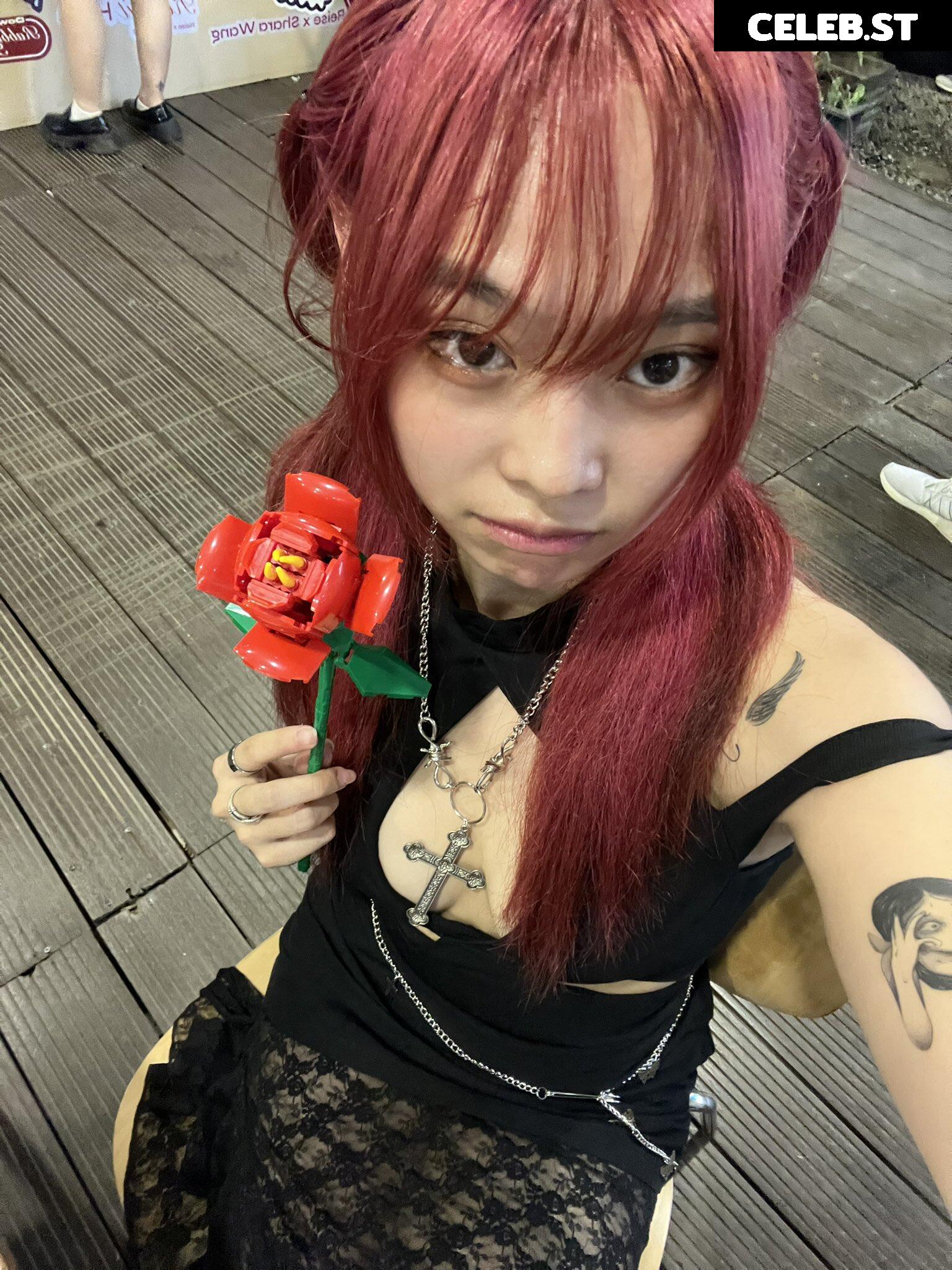 miceraa Image 4269303