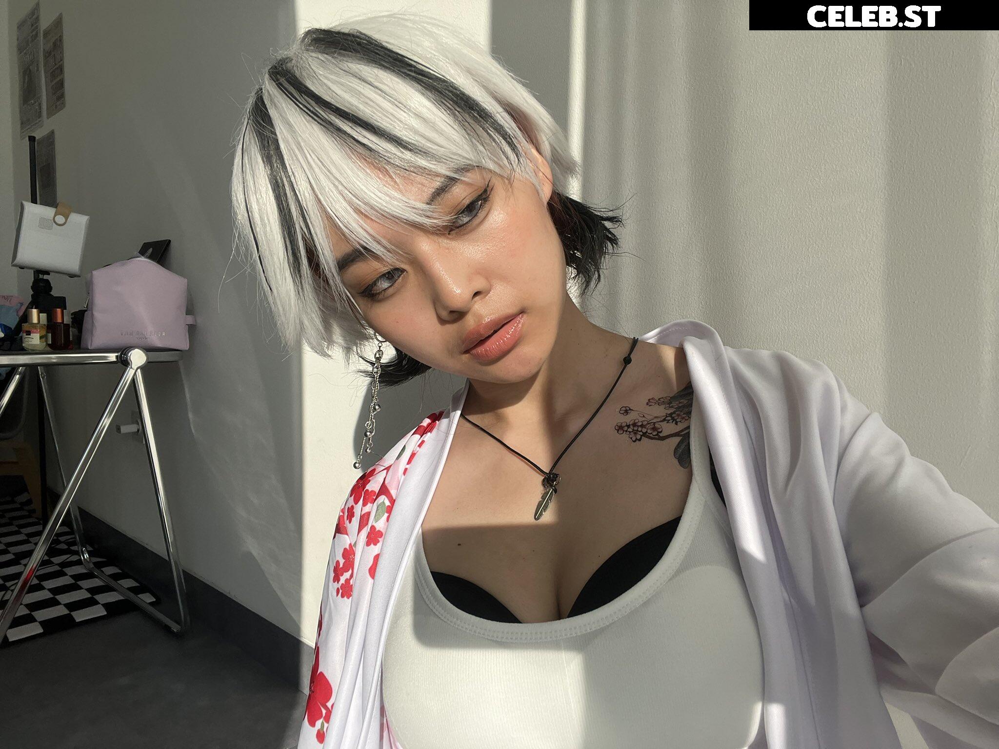 miceraa Image 4269211