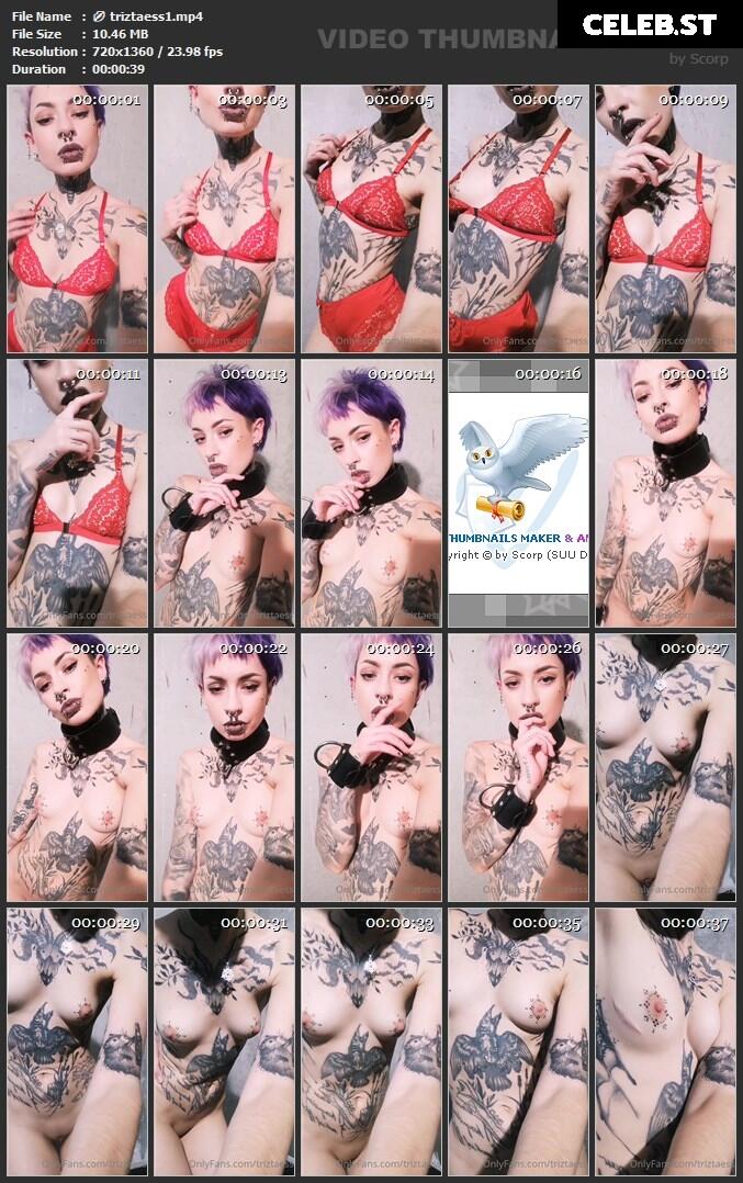 Triz Täss Image 426859