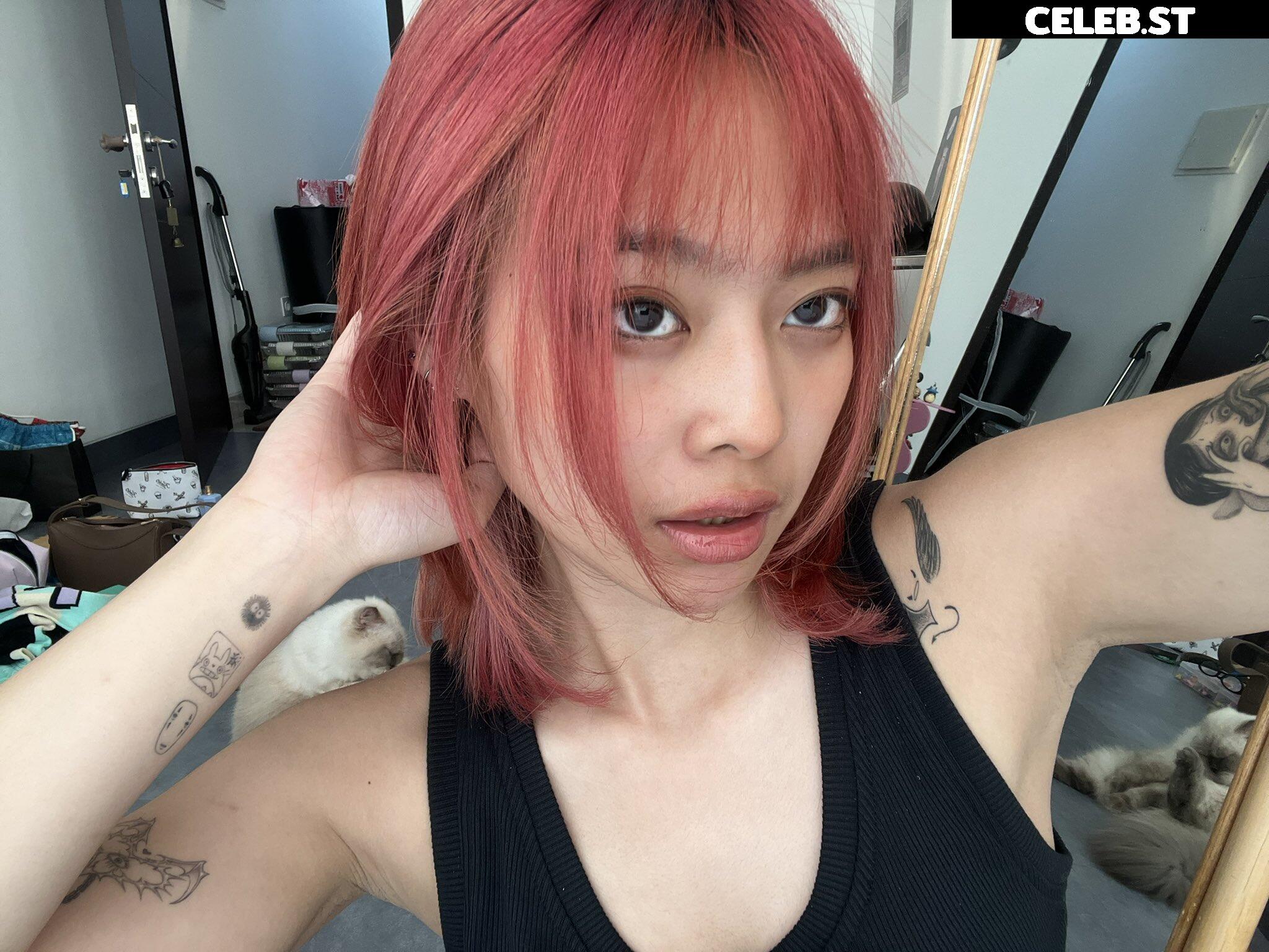 miceraa Image 4268361