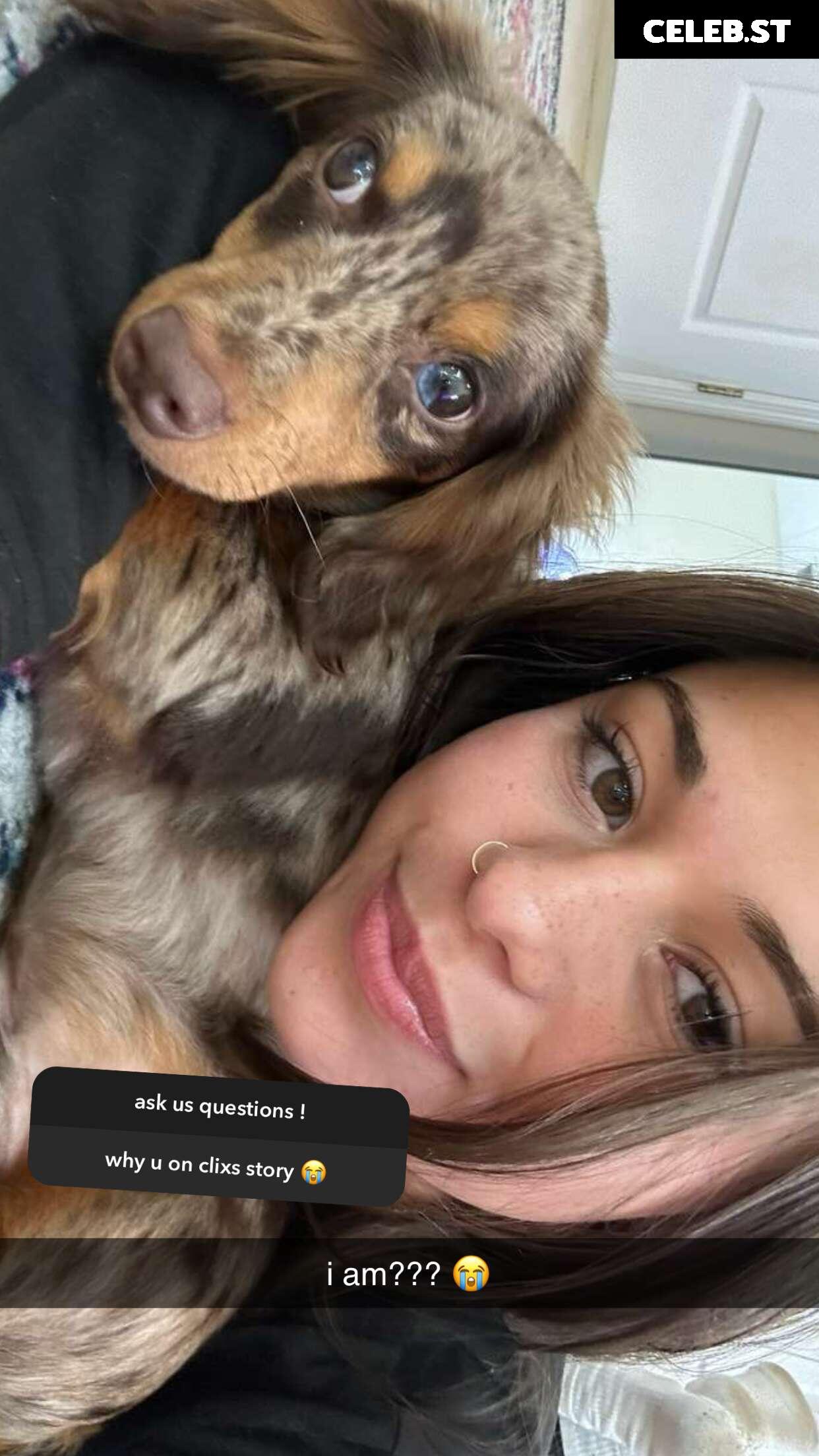 Malayaax - Sophieraiin Image 4259447