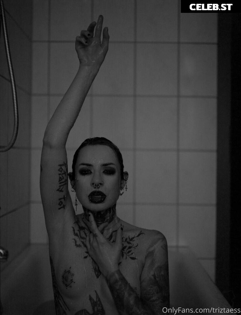 Triz Täss Image 425890