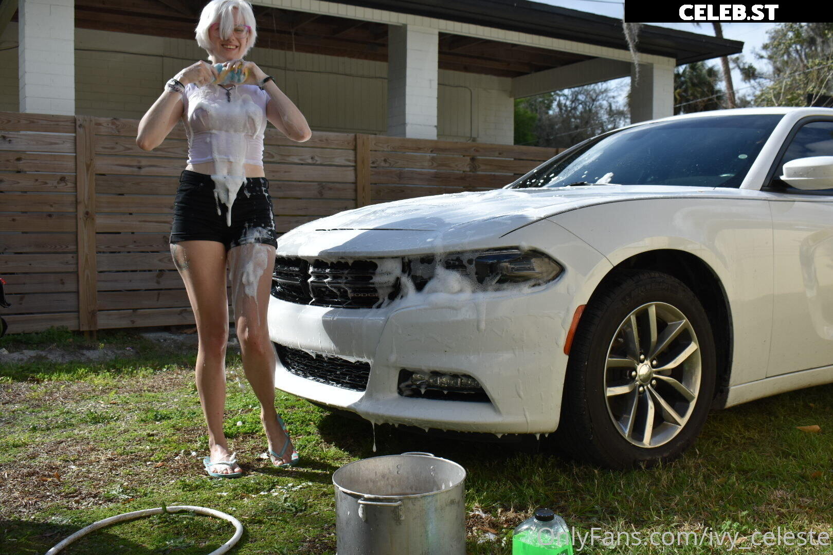 Ivy Celeste Image 424746