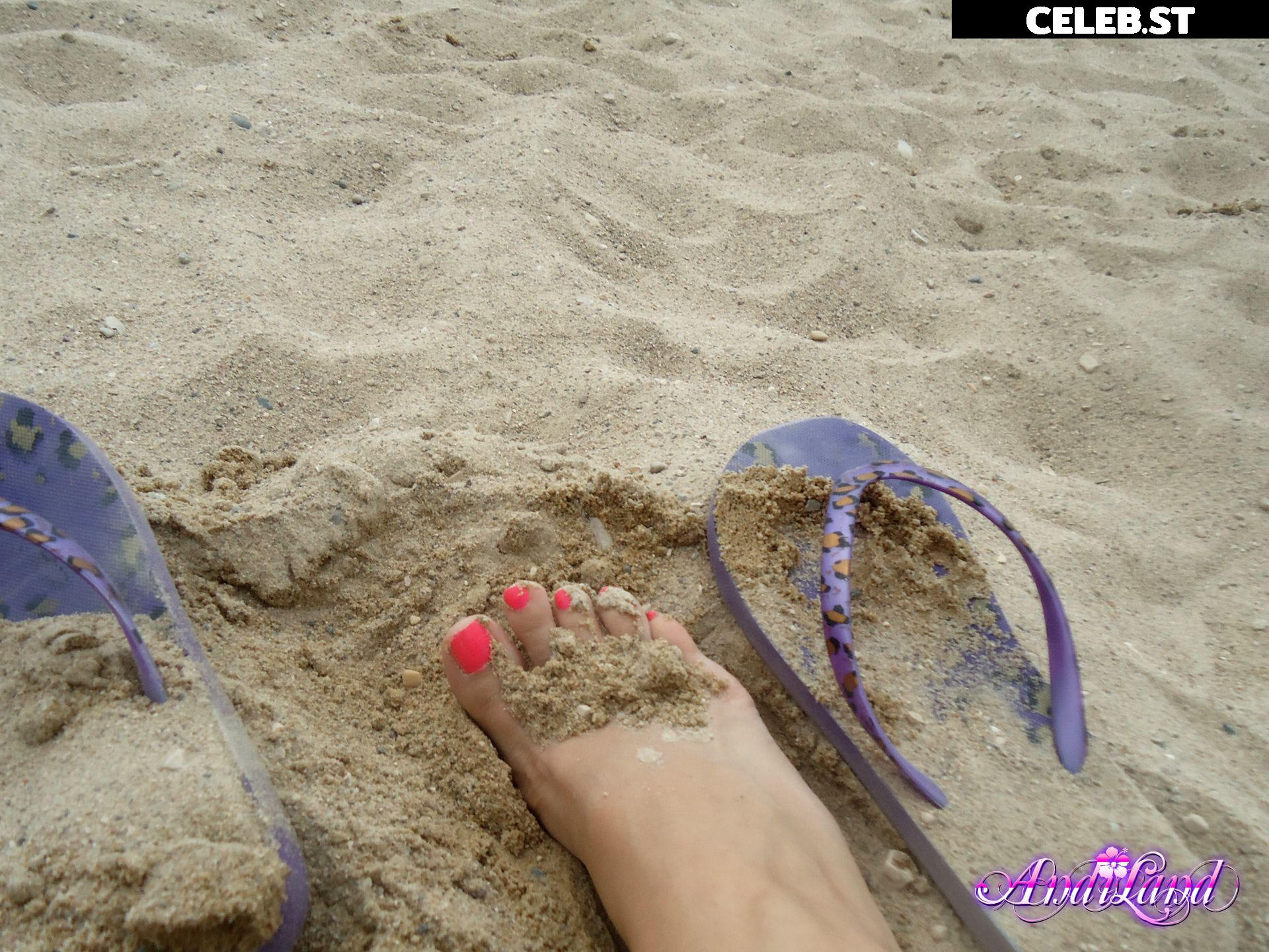 Andi Land Image 4241336