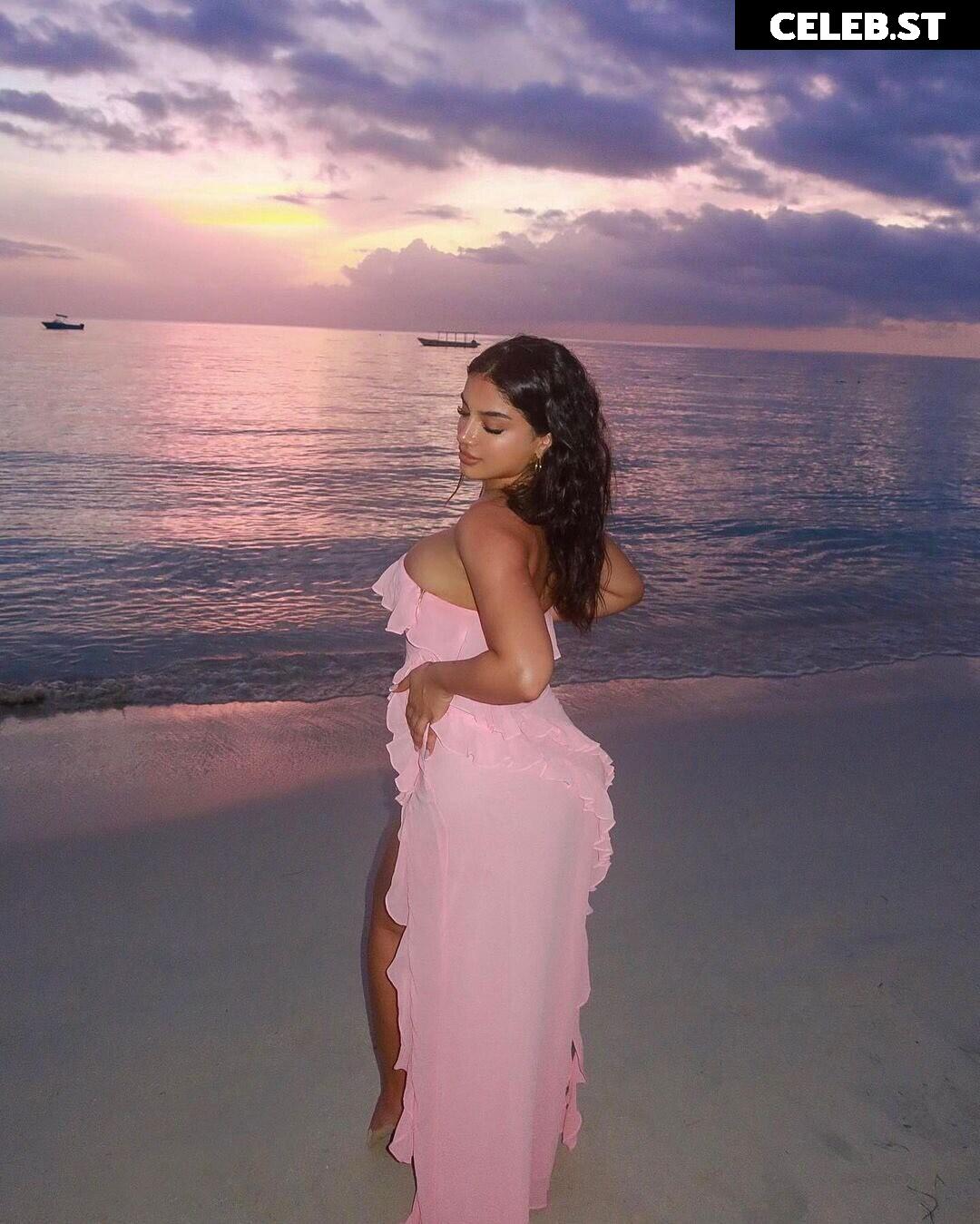 Alishbasheikh Image 4243644