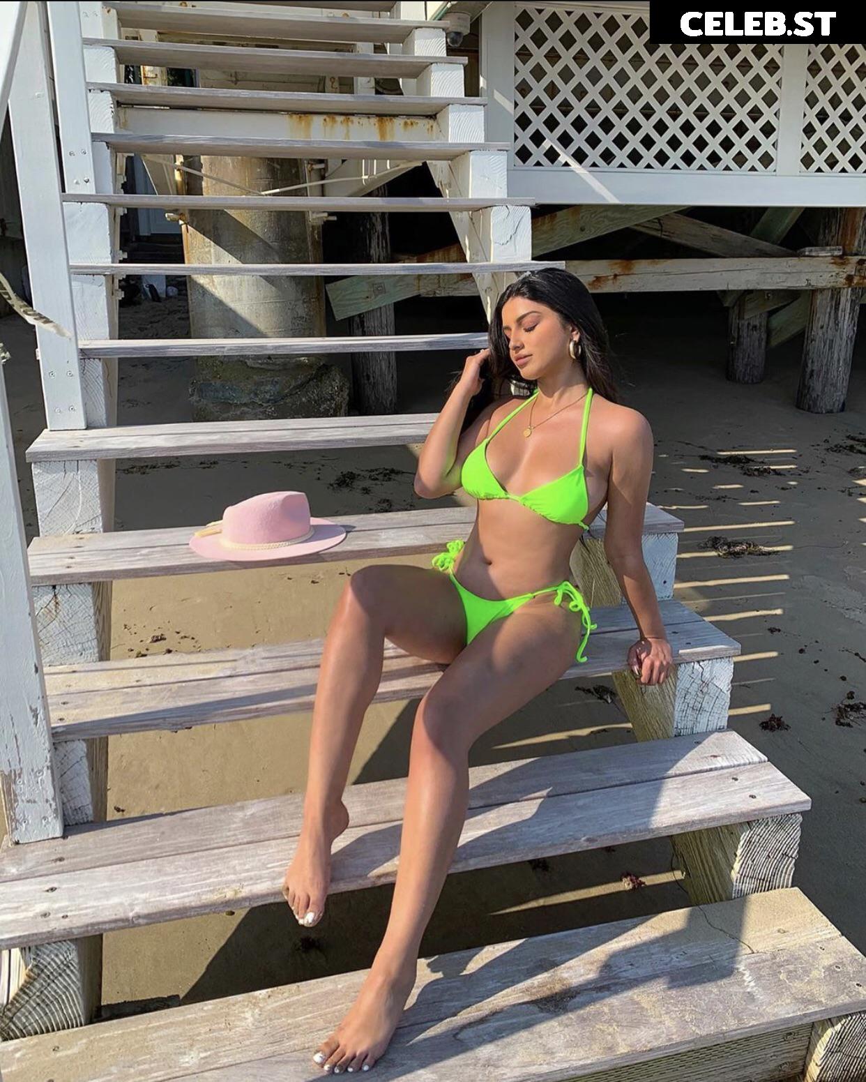 Alishbasheikh Image 4240992