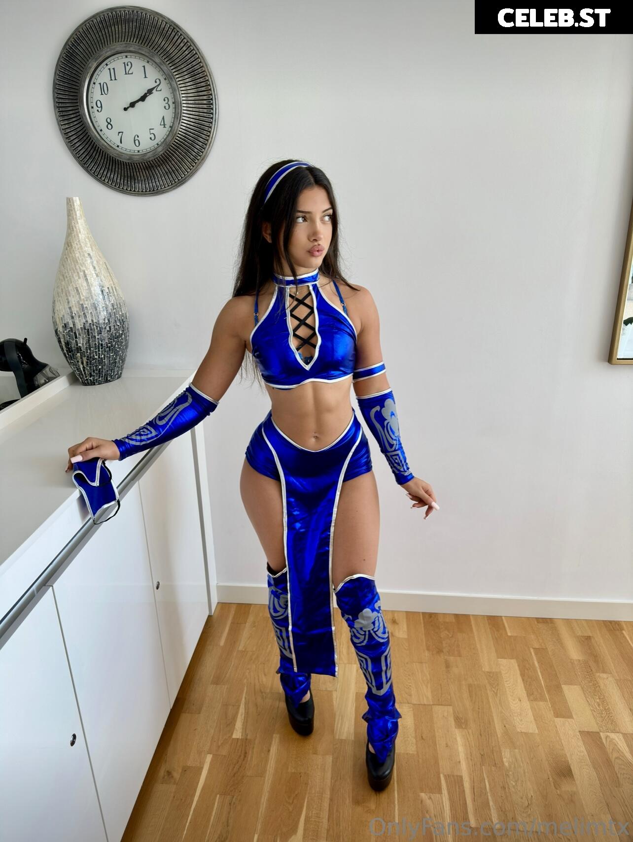 MelimTX Image 4220141