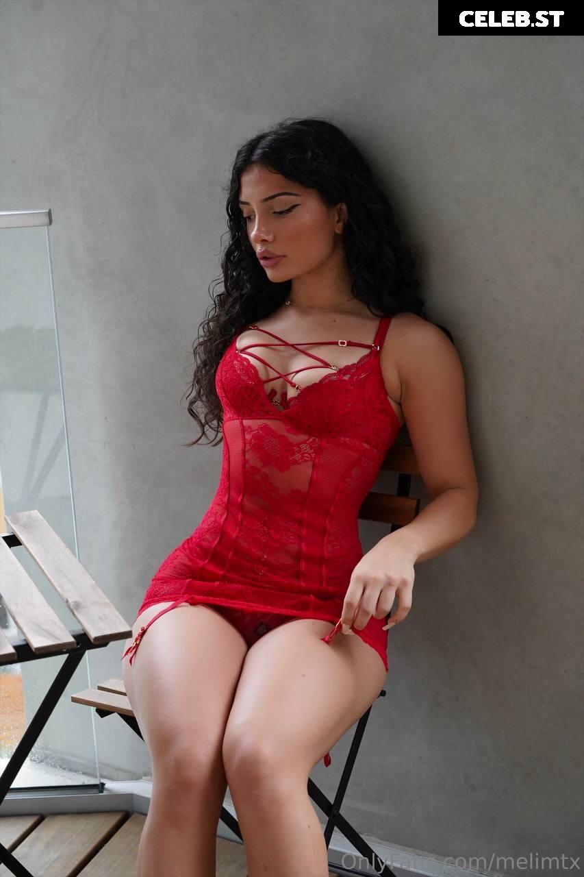 MelimTX Image 4216787