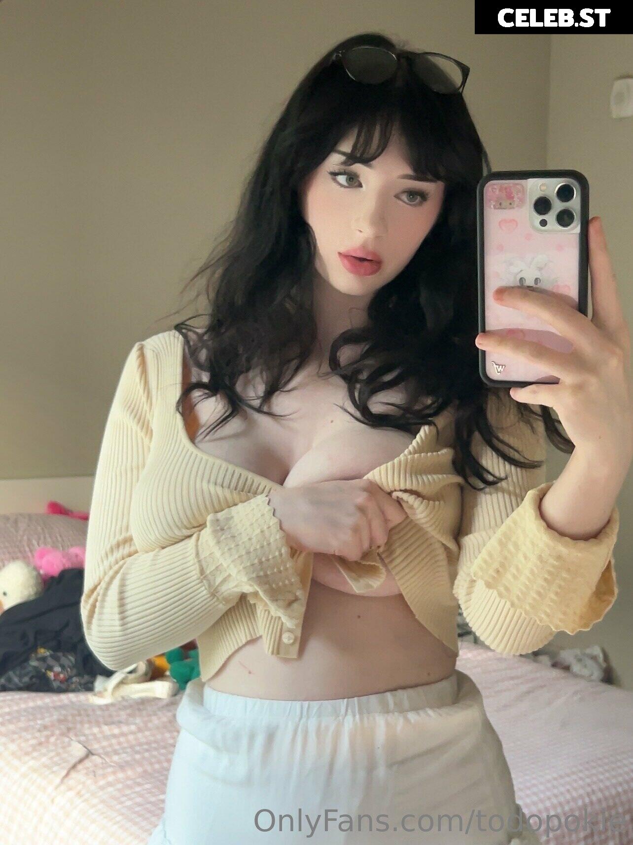 Todopokie Image 4211529