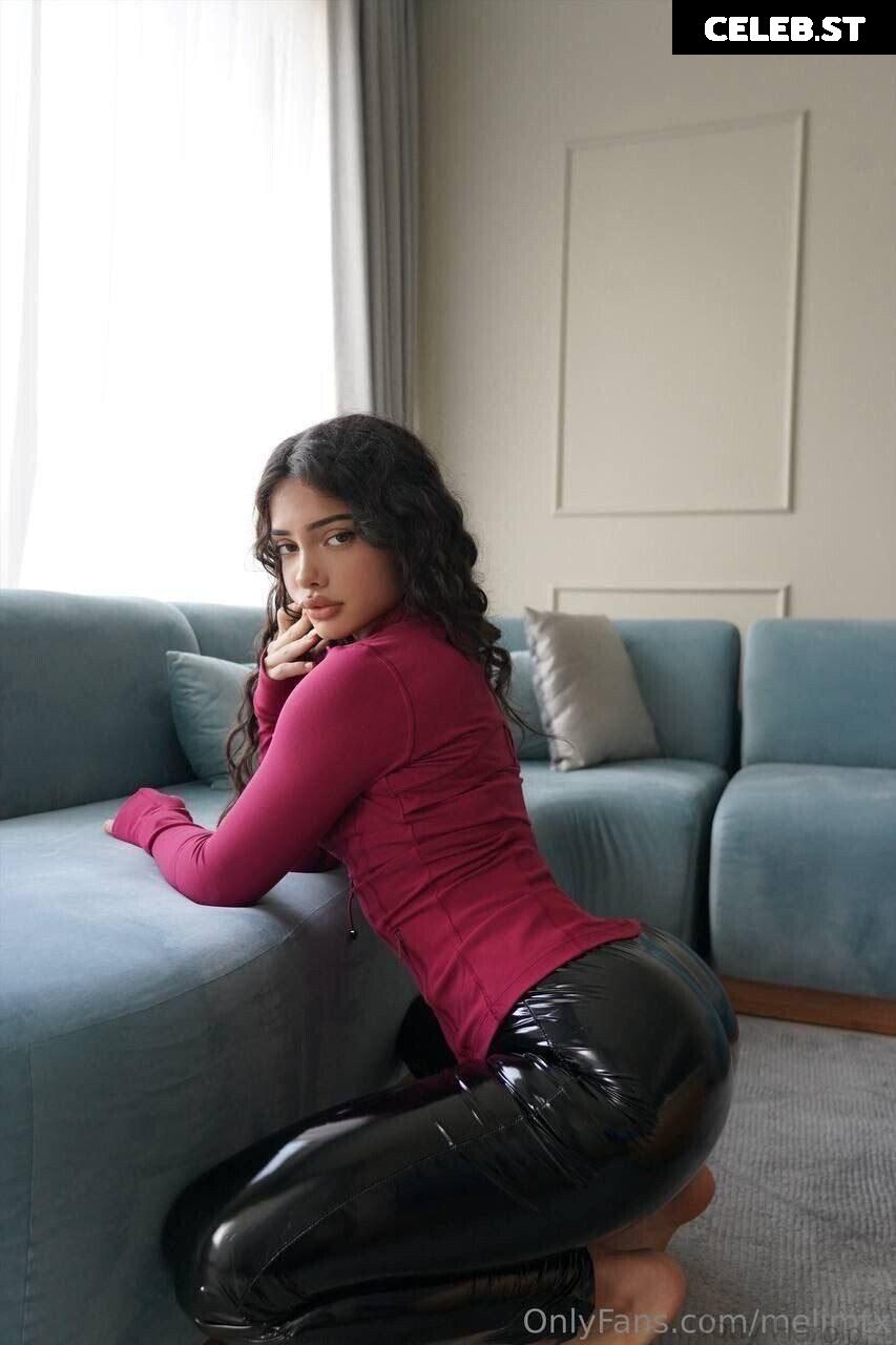 MelimTX Image 4210070