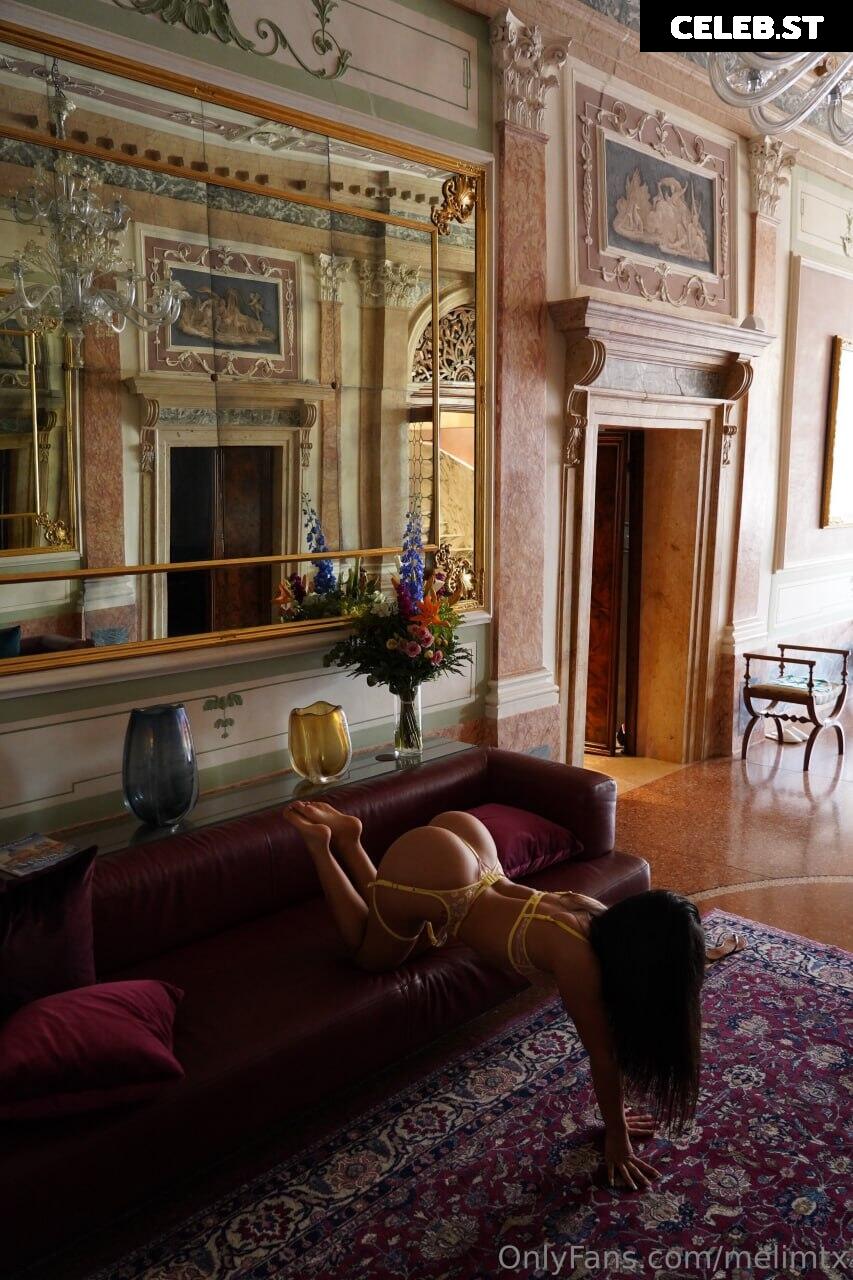 MelimTX Image 4218643