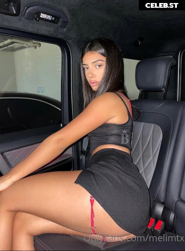 MelimTX Image 4201643