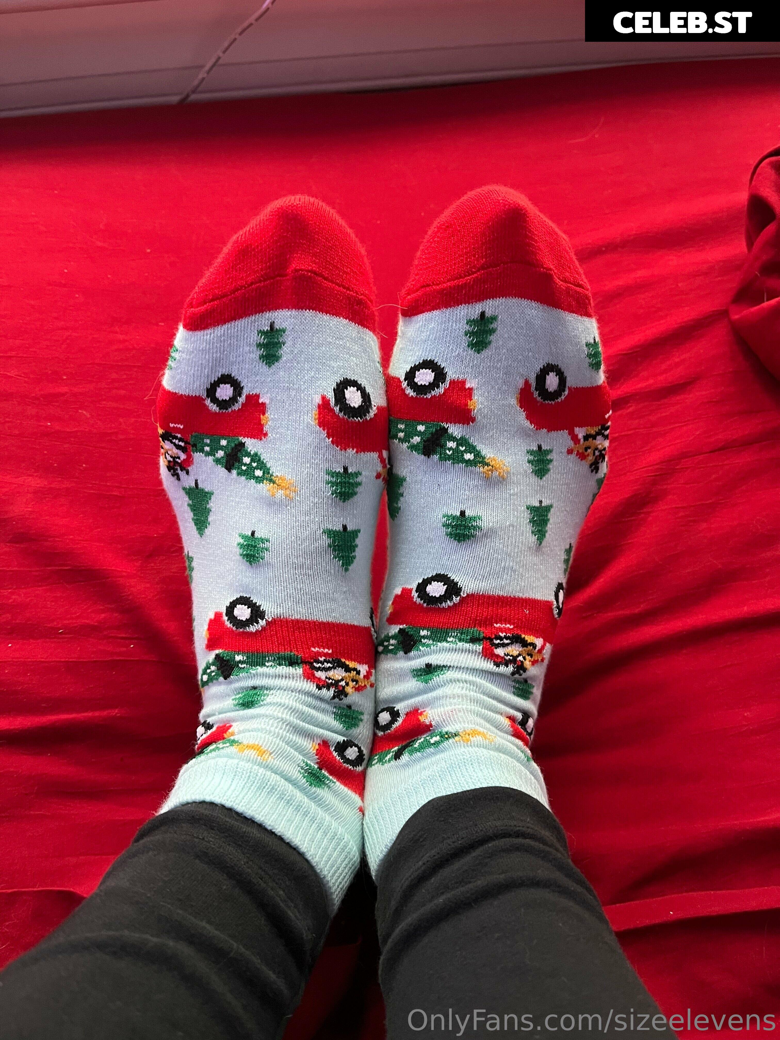 Sizeelevens Image 4202440