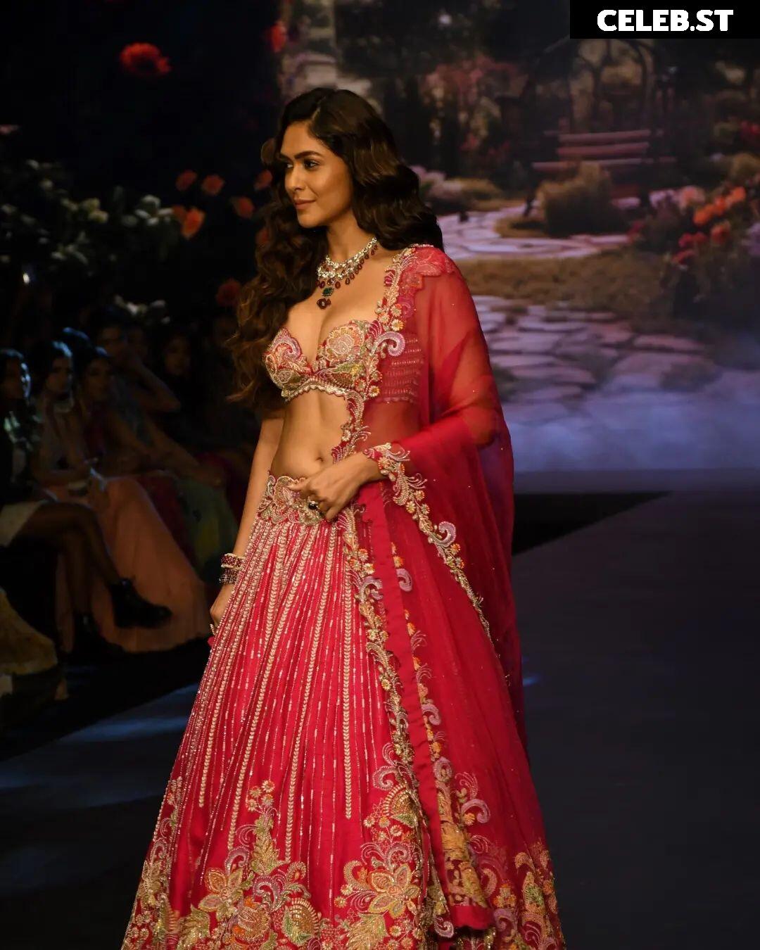 Mrunal Thakur Image 4396599