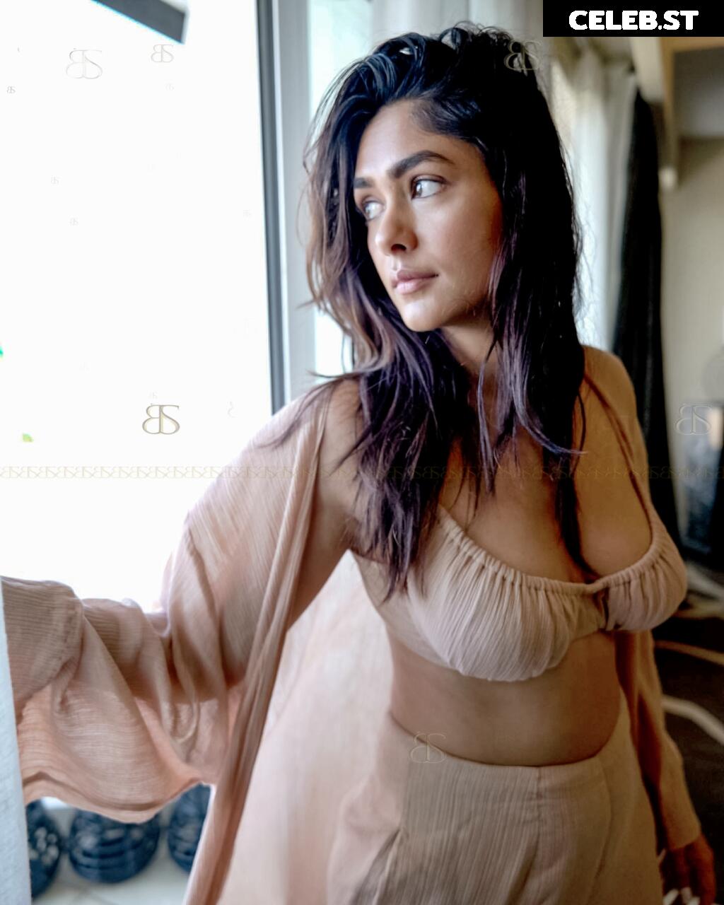 Mrunal Thakur Image 4396153