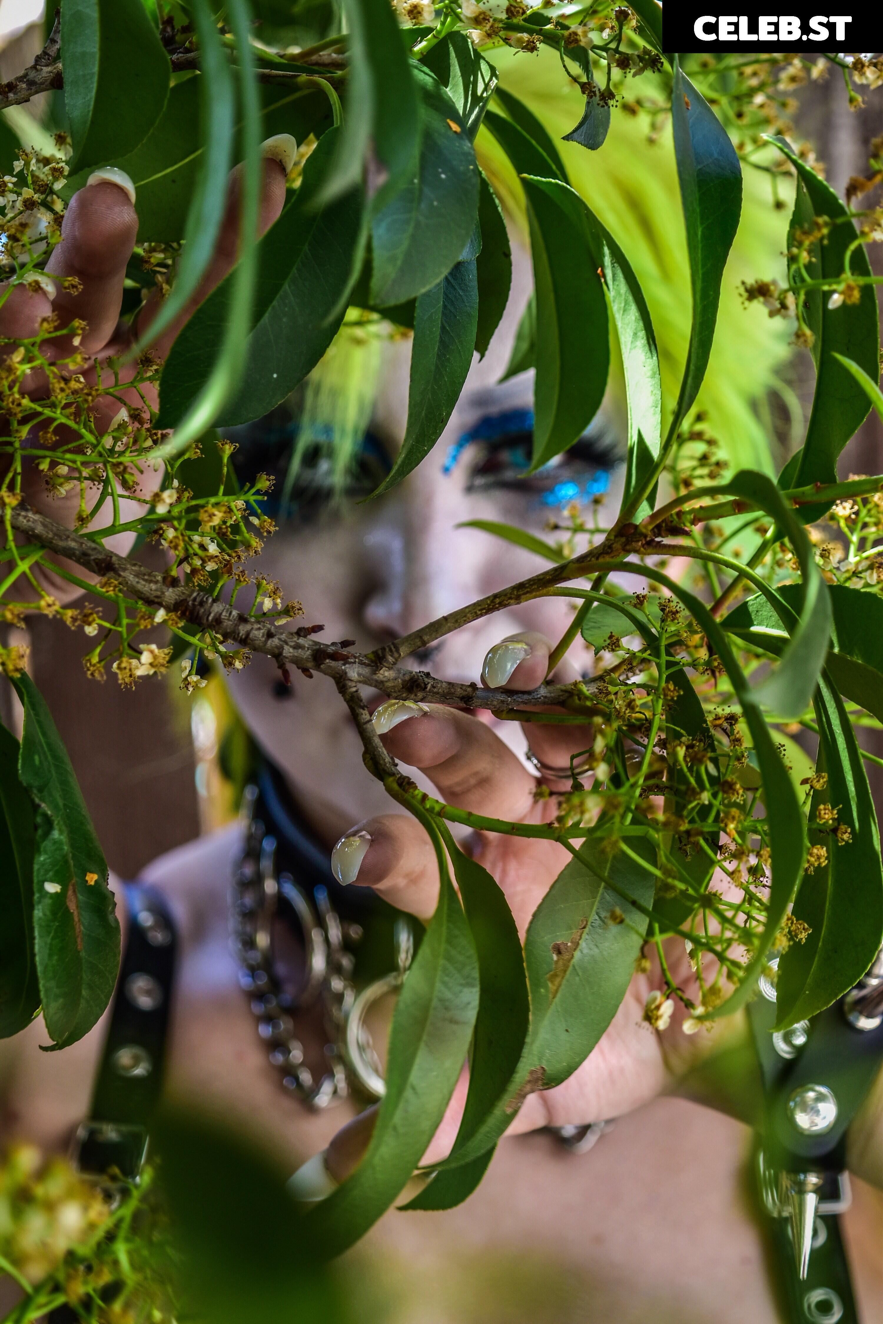 AEW Abadon Image 4393065