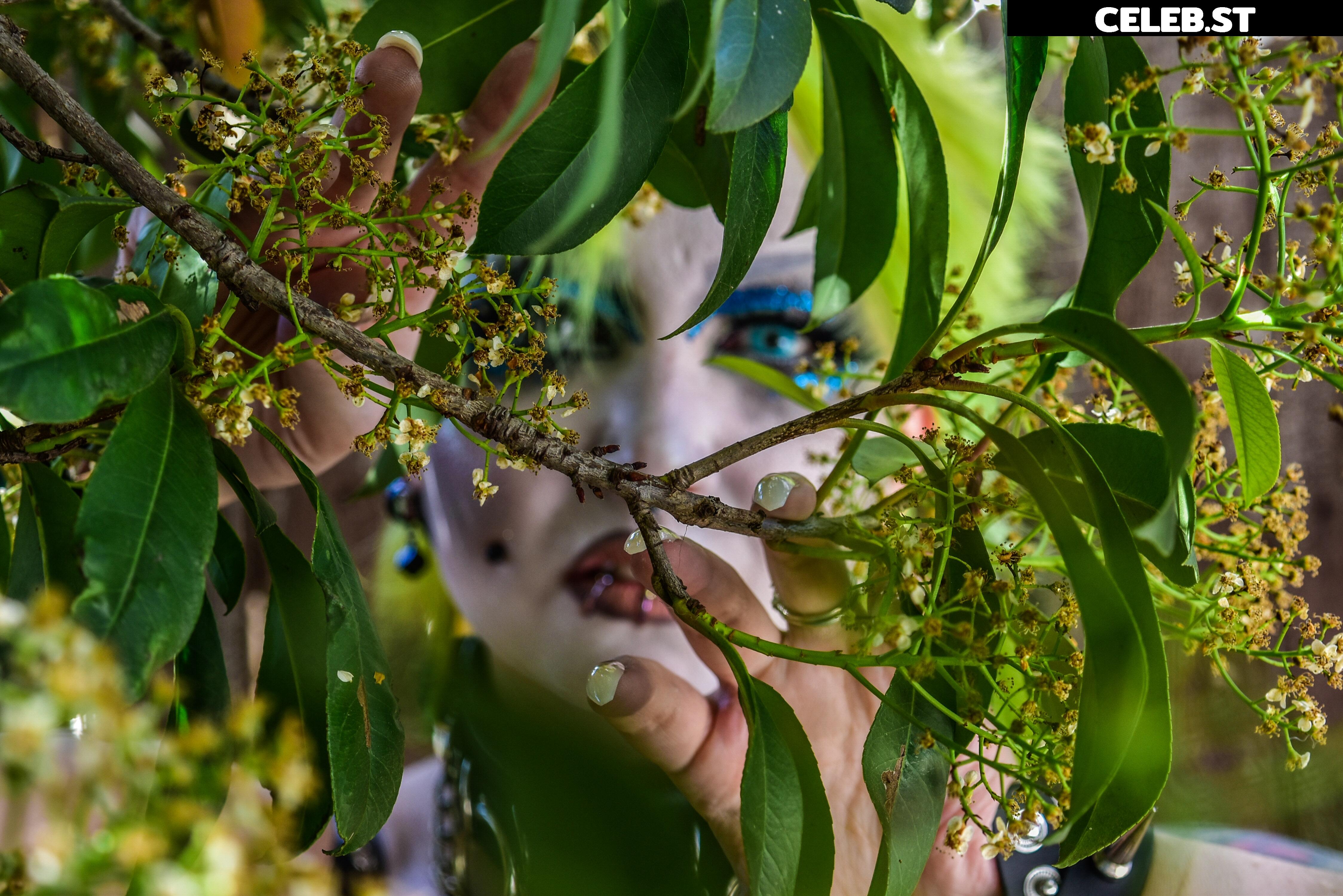 AEW Abadon Image 4393012