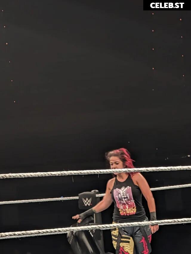 WWE Bayley / Davina Rose / Pamela Rose Martinez Image 4390595